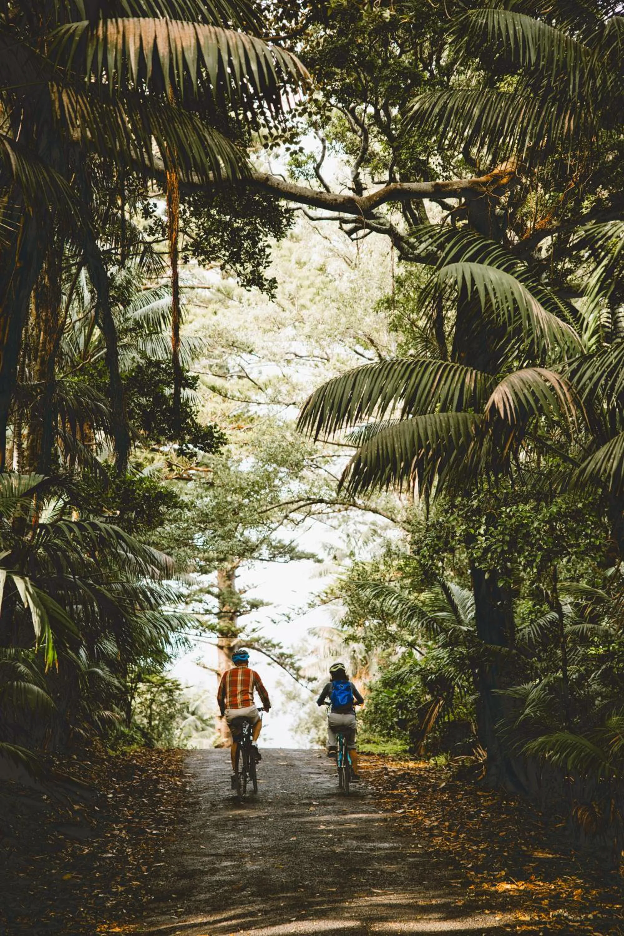 Other in Lorhiti Apartments