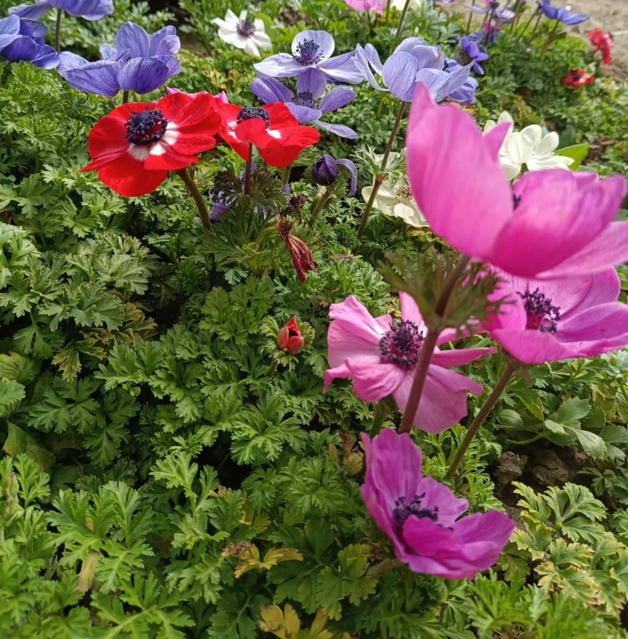 Day in Lakes and peaks