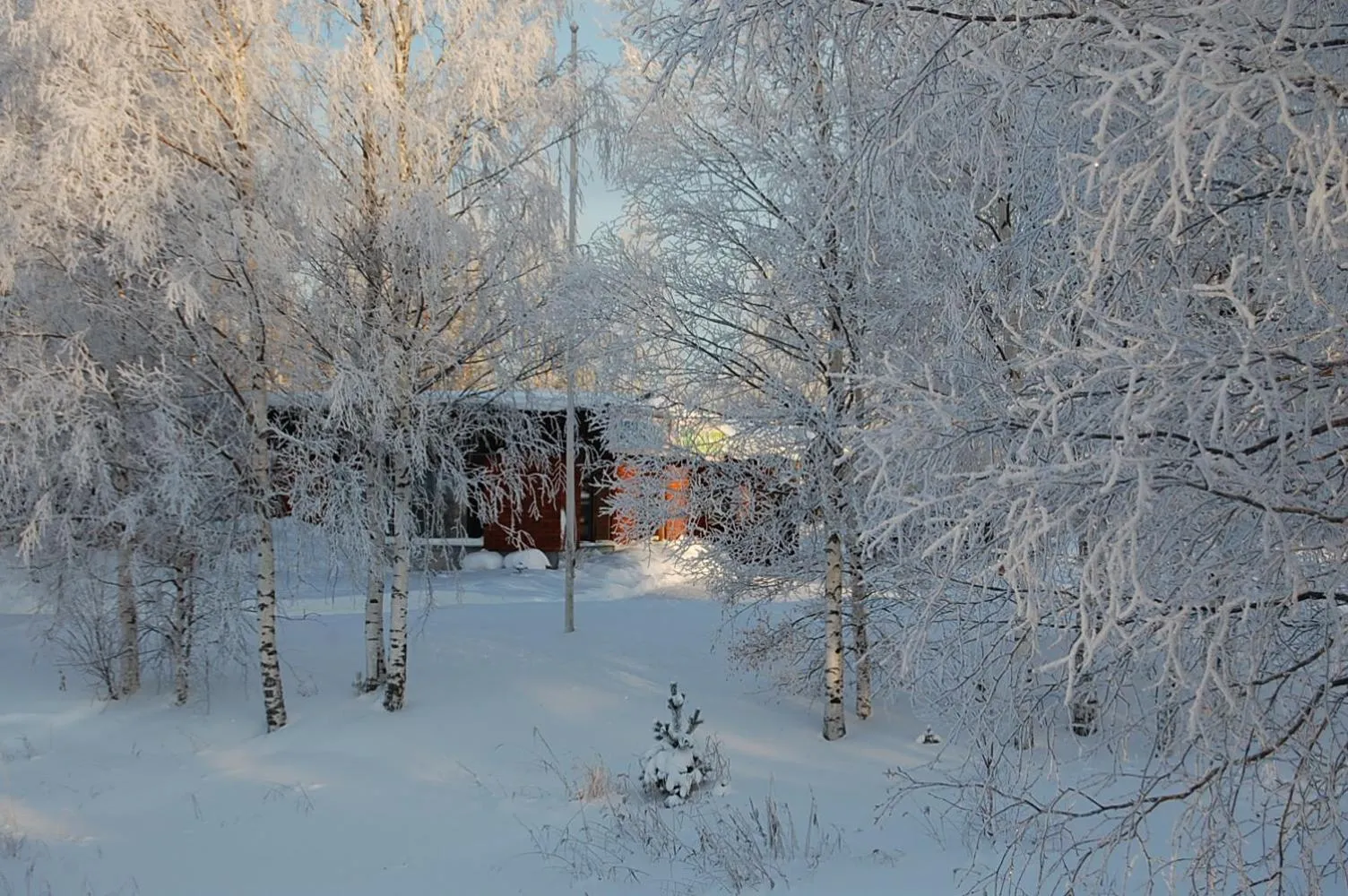 Natural landscape in Lomasaaret Cottages