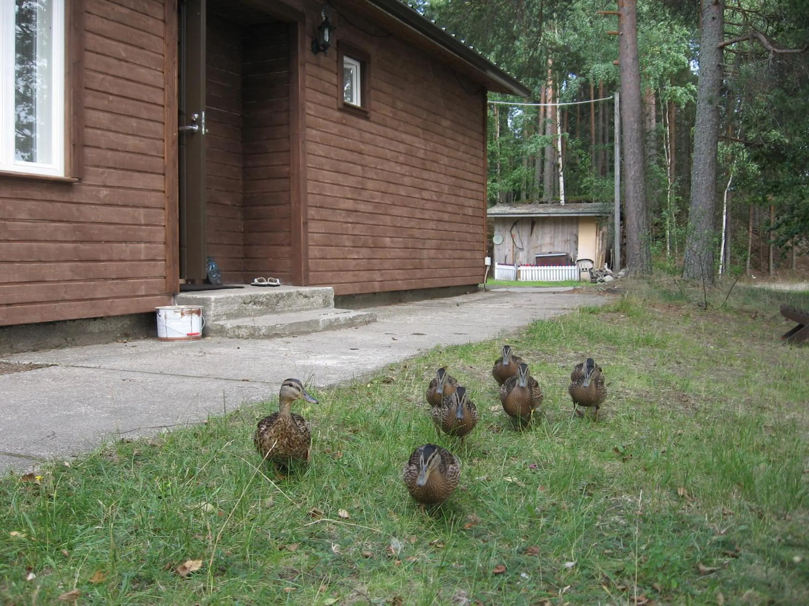 Facade/entrance in Lomasaaret Cottages