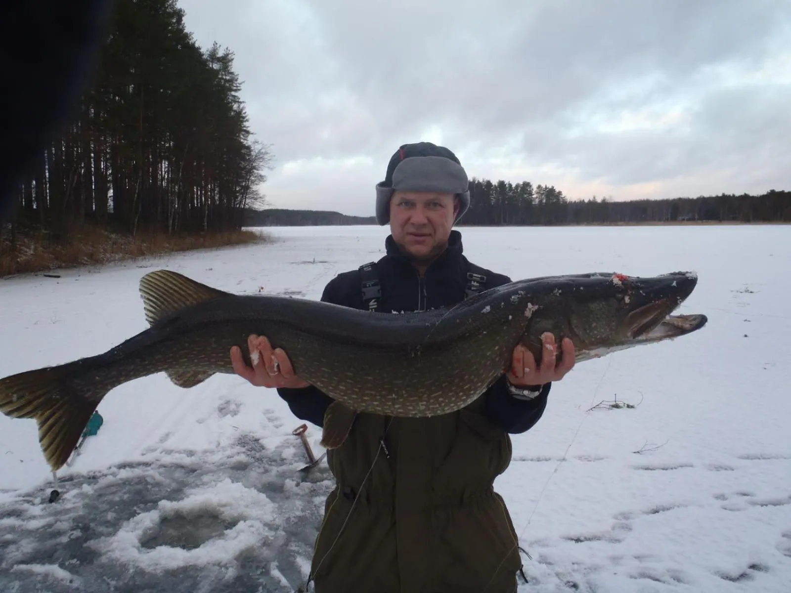 Natural landscape in Lomasaaret Cottages