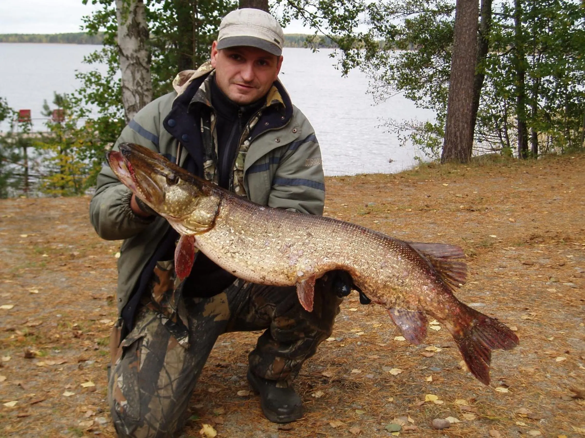 People in Lomasaaret Cottages