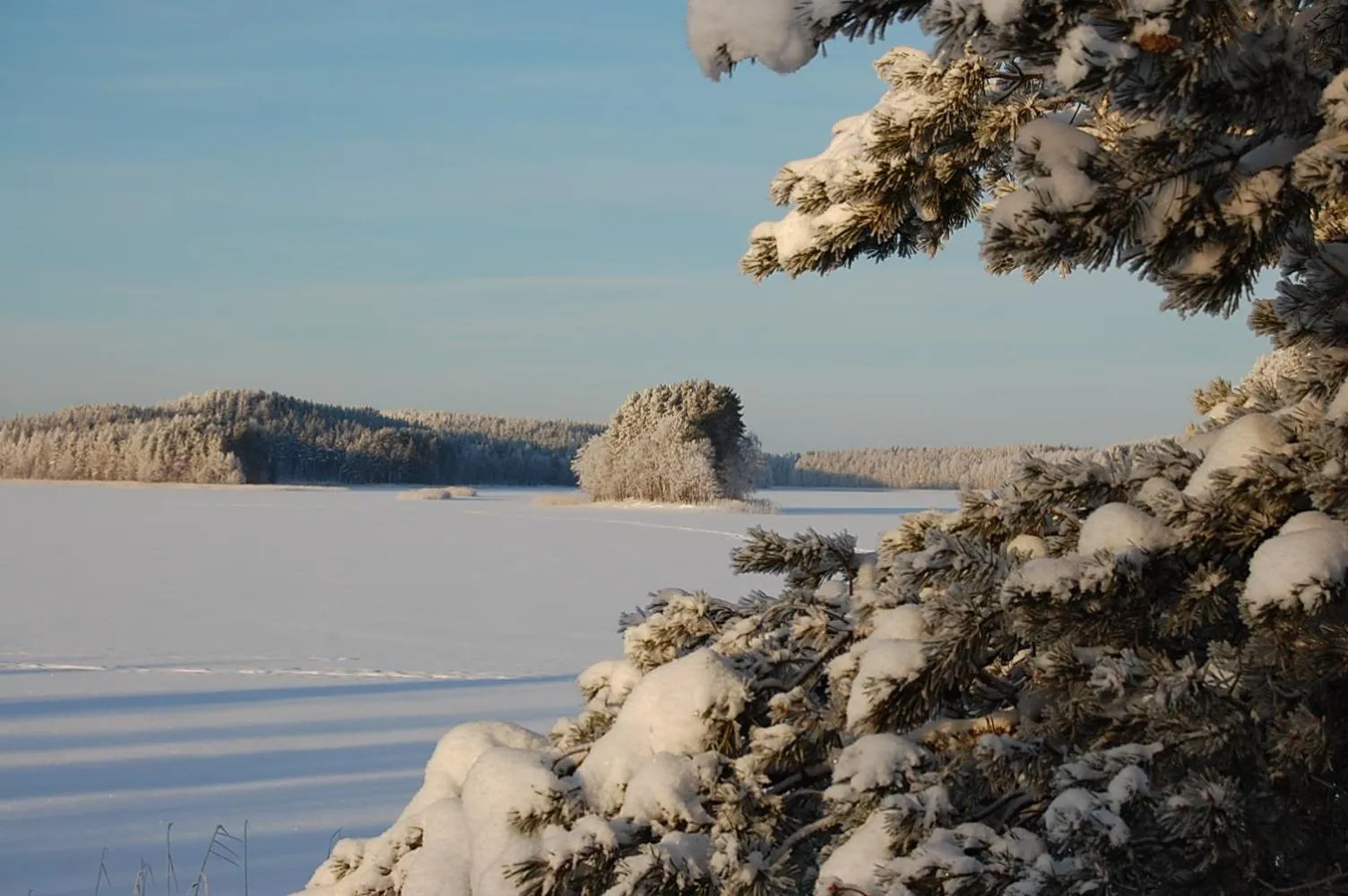 Natural landscape in Lomasaaret Cottages