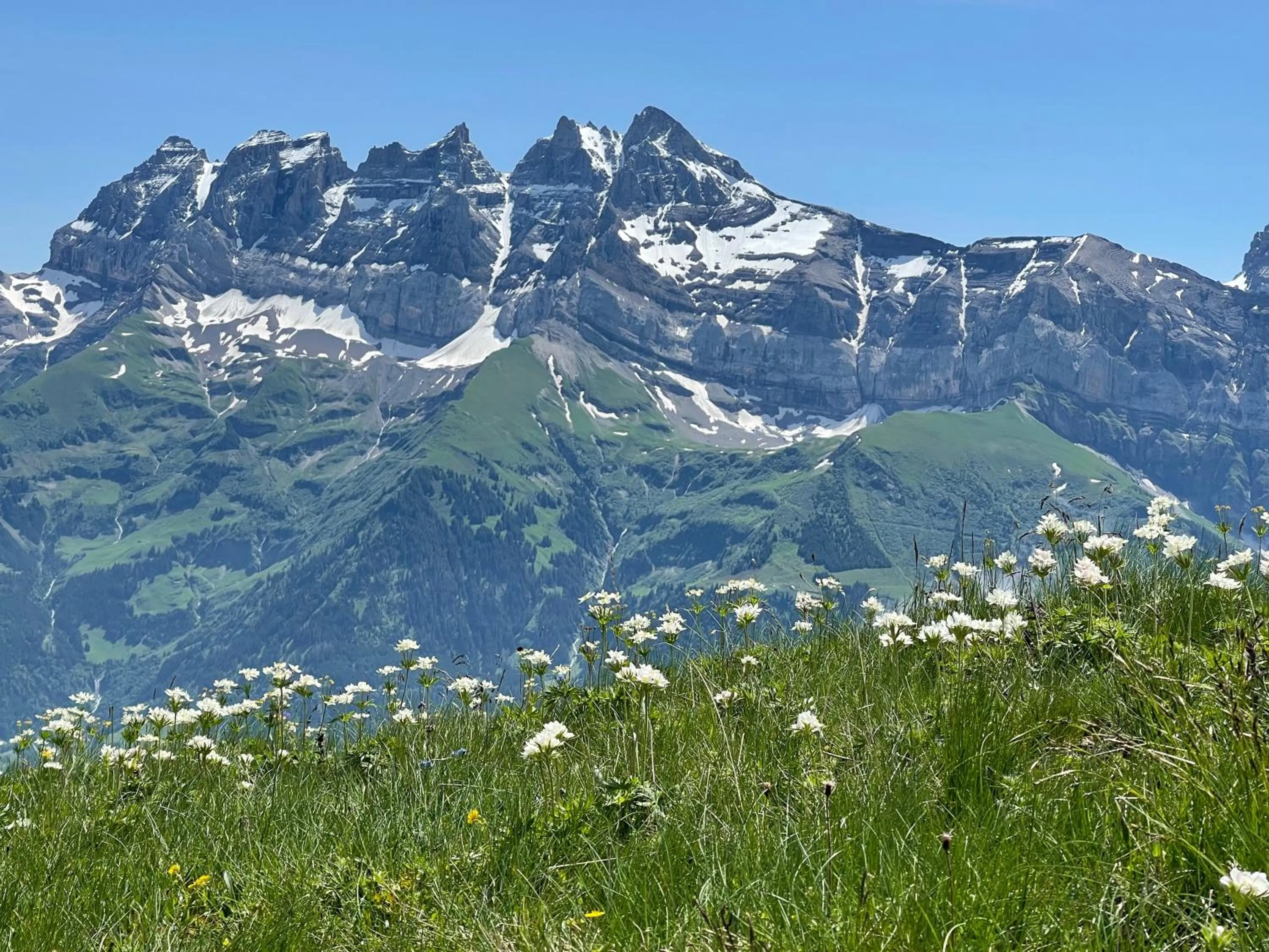 View (from property/room) in Chalet Montriond - Bike & Ski