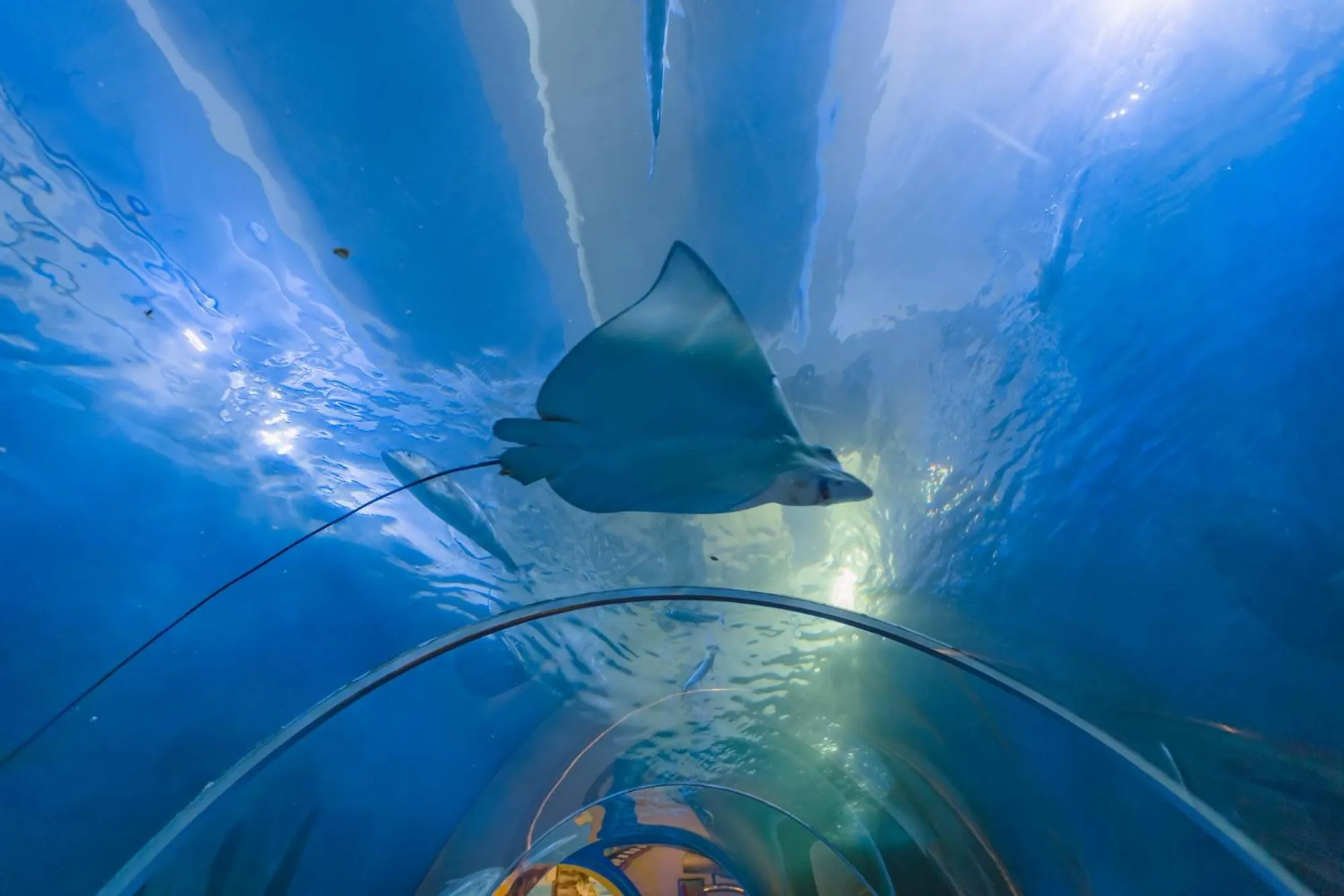 Nearby landmark in Anika boutique - อัณณิกา บูทีค