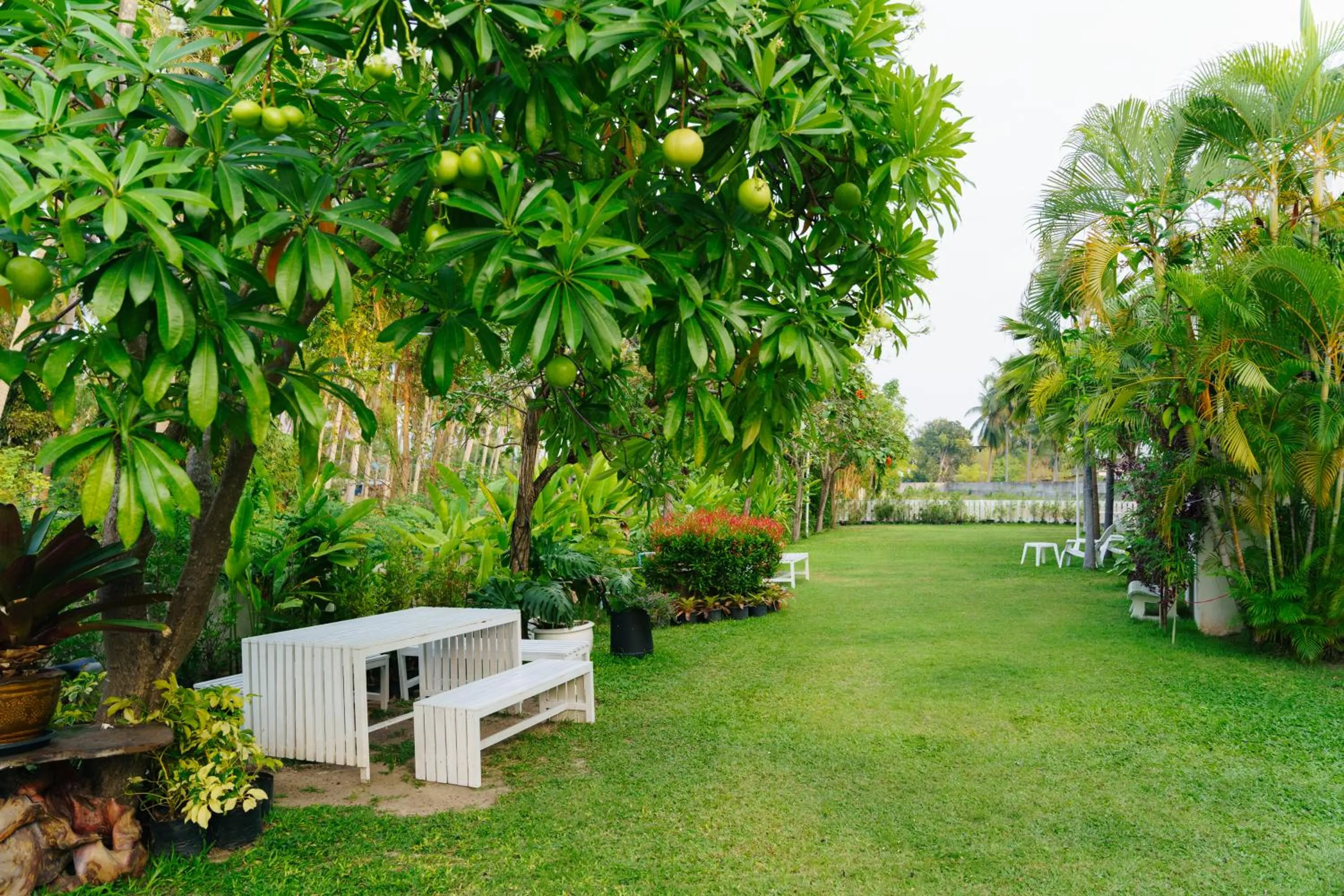 Natural landscape in Anika boutique - อัณณิกา บูทีค