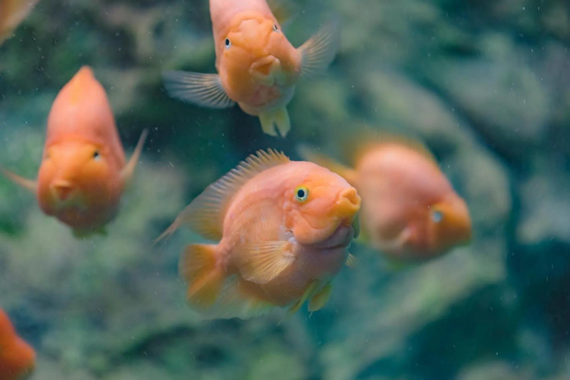 Nearby landmark in Anika boutique - อัณณิกา บูทีค