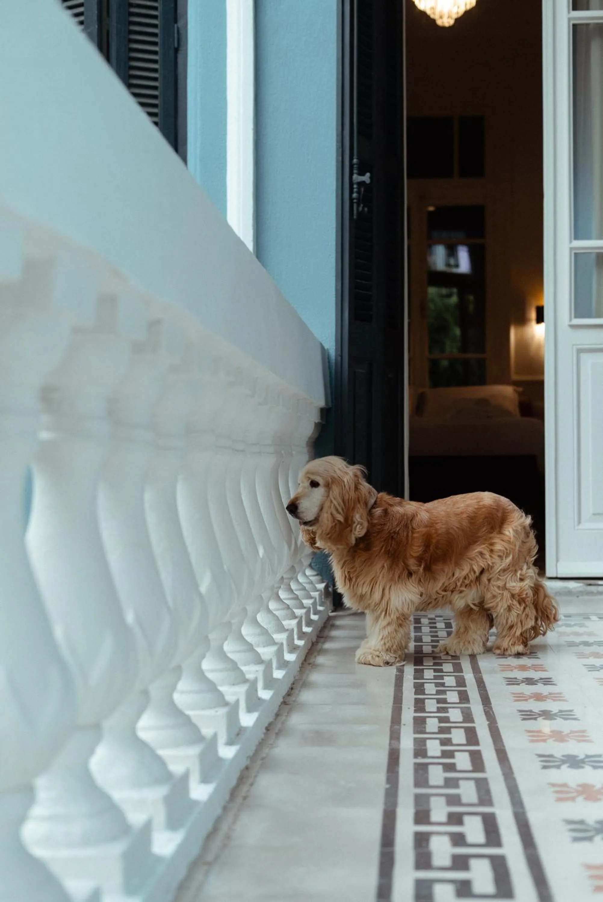 Balcony/Terrace in Villa Clio, a Luxury Collection