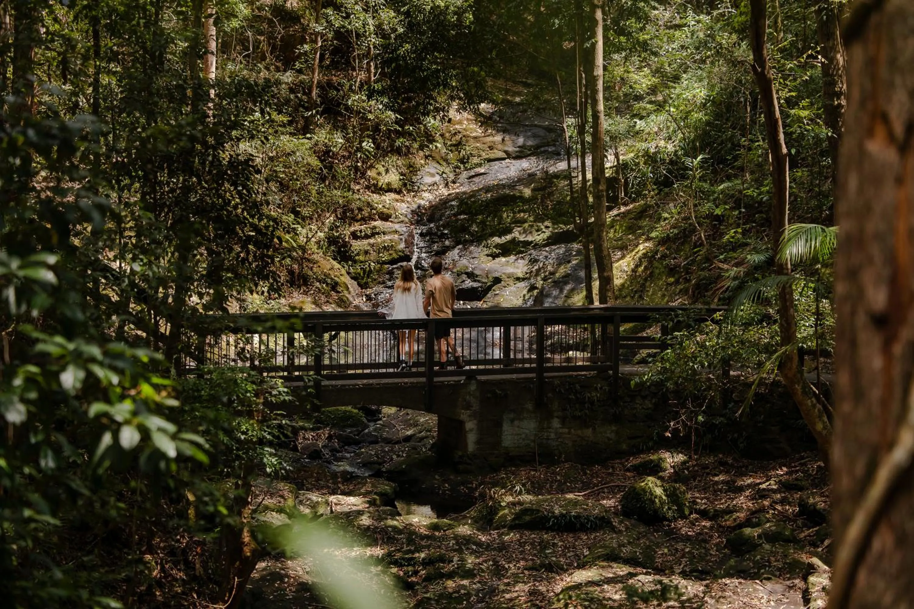 Natural landscape in Kondalilla Eco Resort
