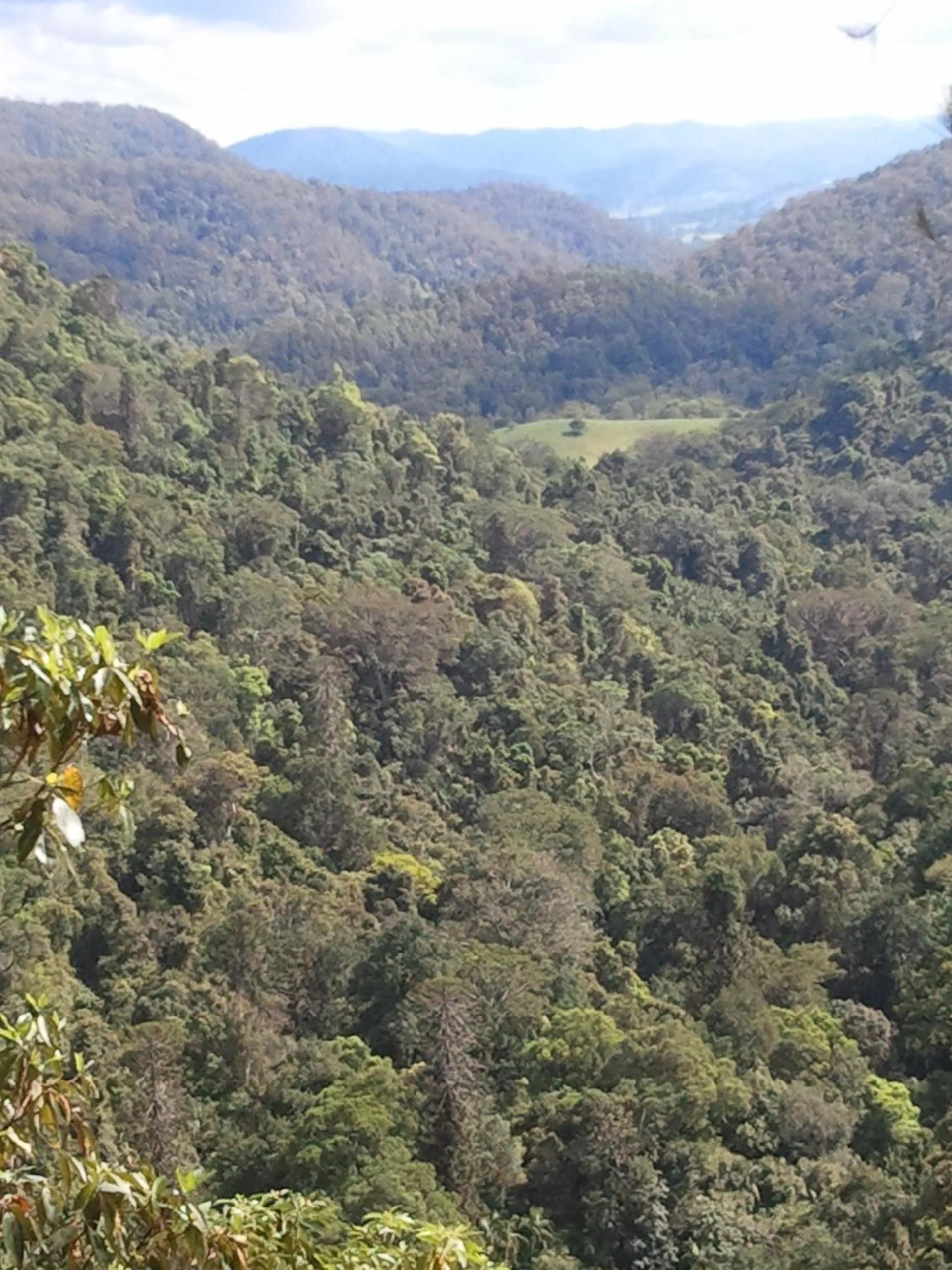 Natural landscape in Kondalilla Eco Resort
