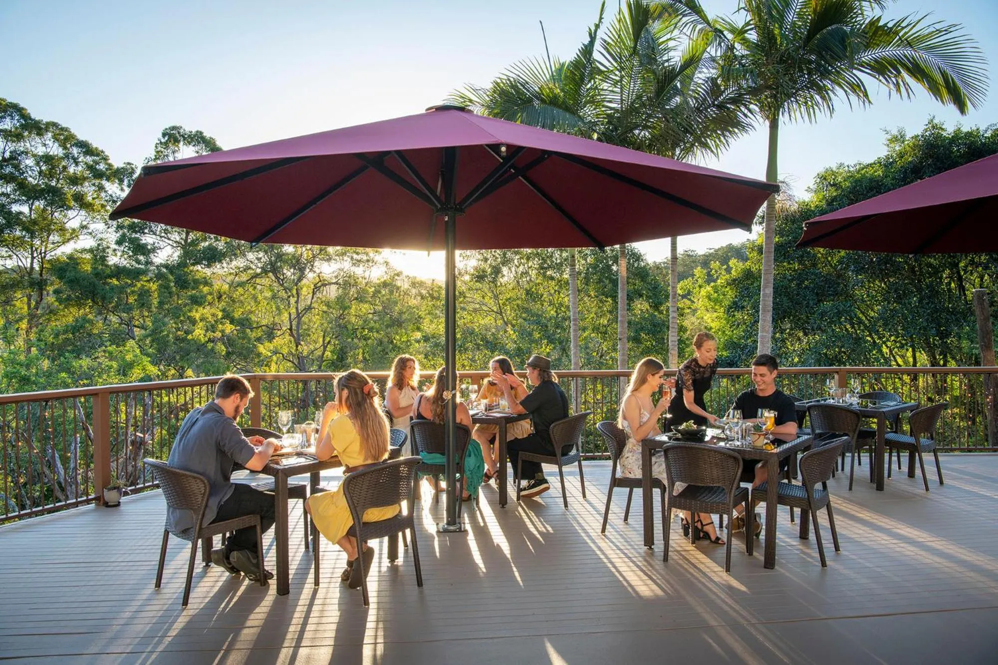 Restaurant/places to eat in Kondalilla Eco Resort