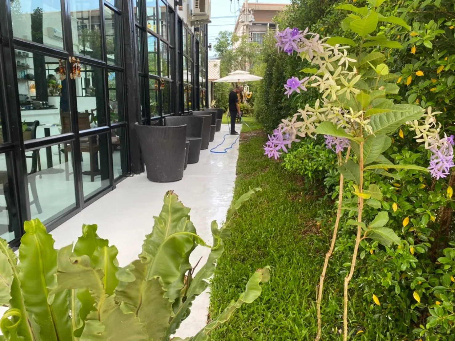 The Courtyard Chiangrai