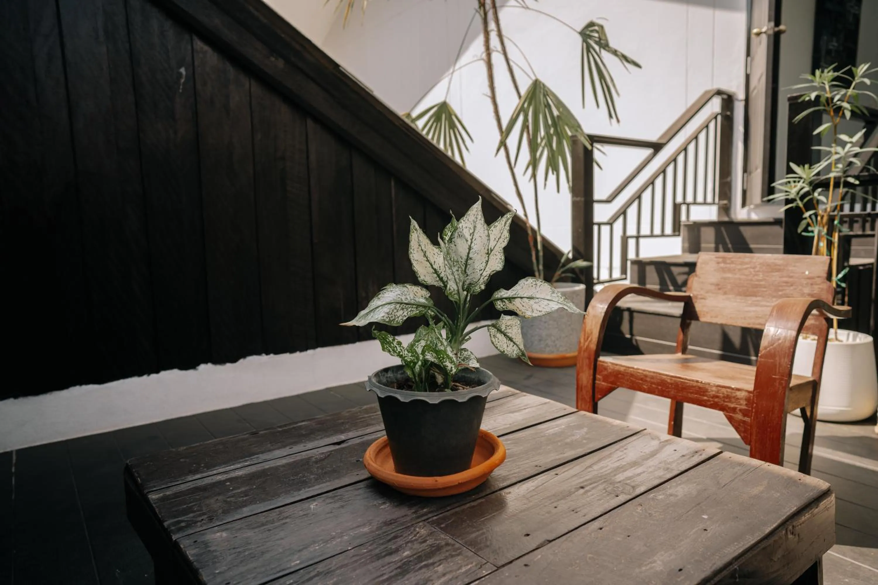 The Courtyard Chiangrai