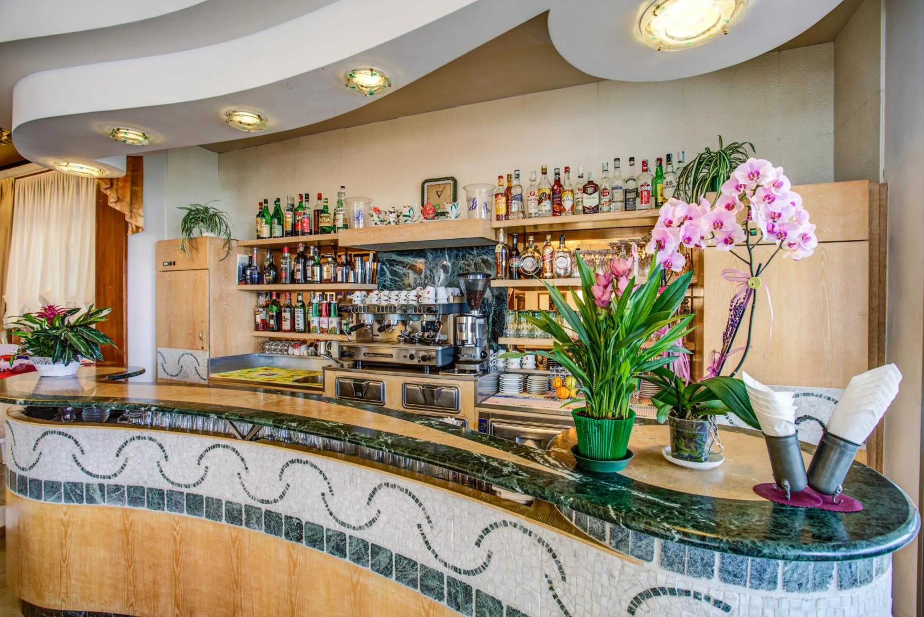 Lounge or bar in Hotel Gardenia