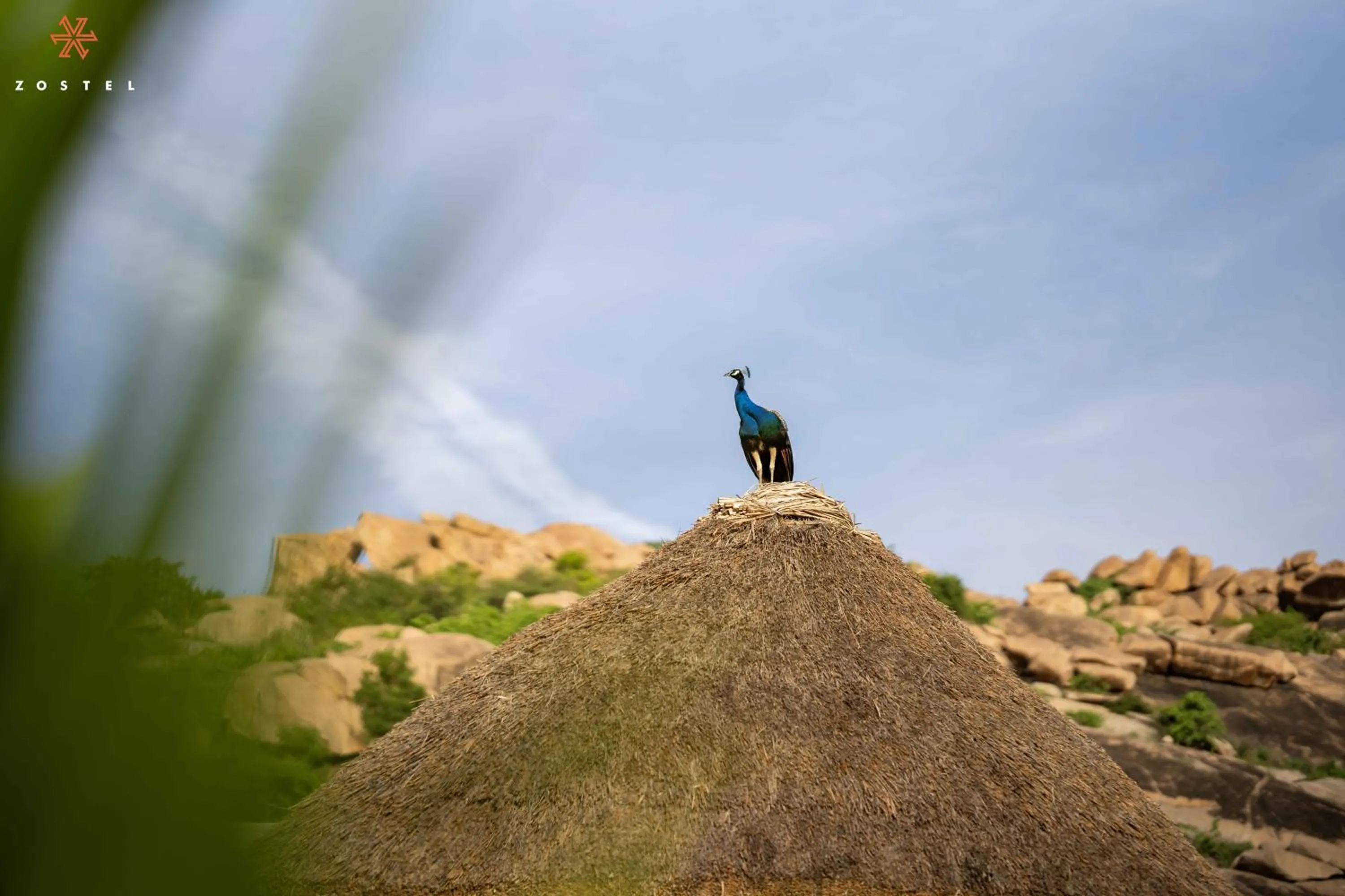 Day in Zostel Hampi (Gangavathi)