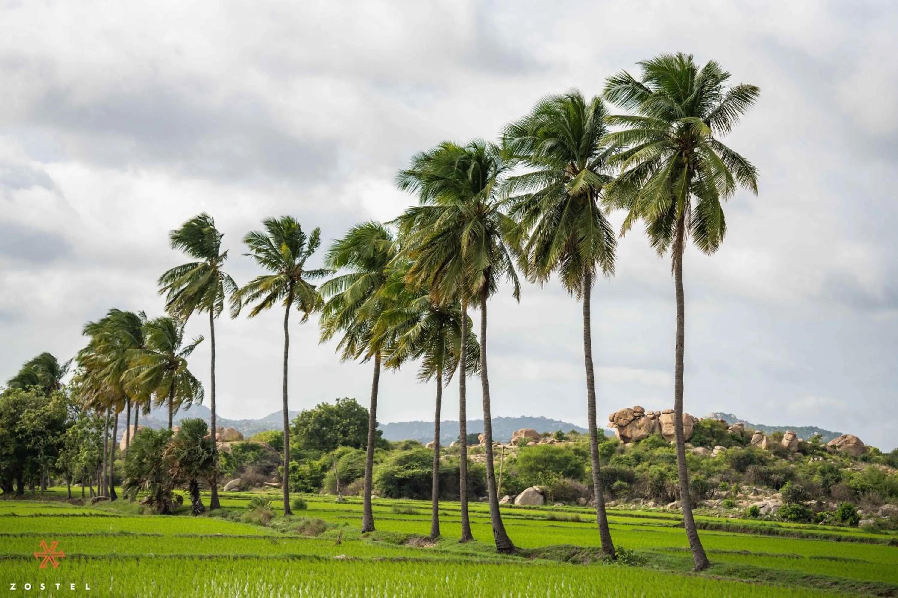 Day in Zostel Hampi (Gangavathi)