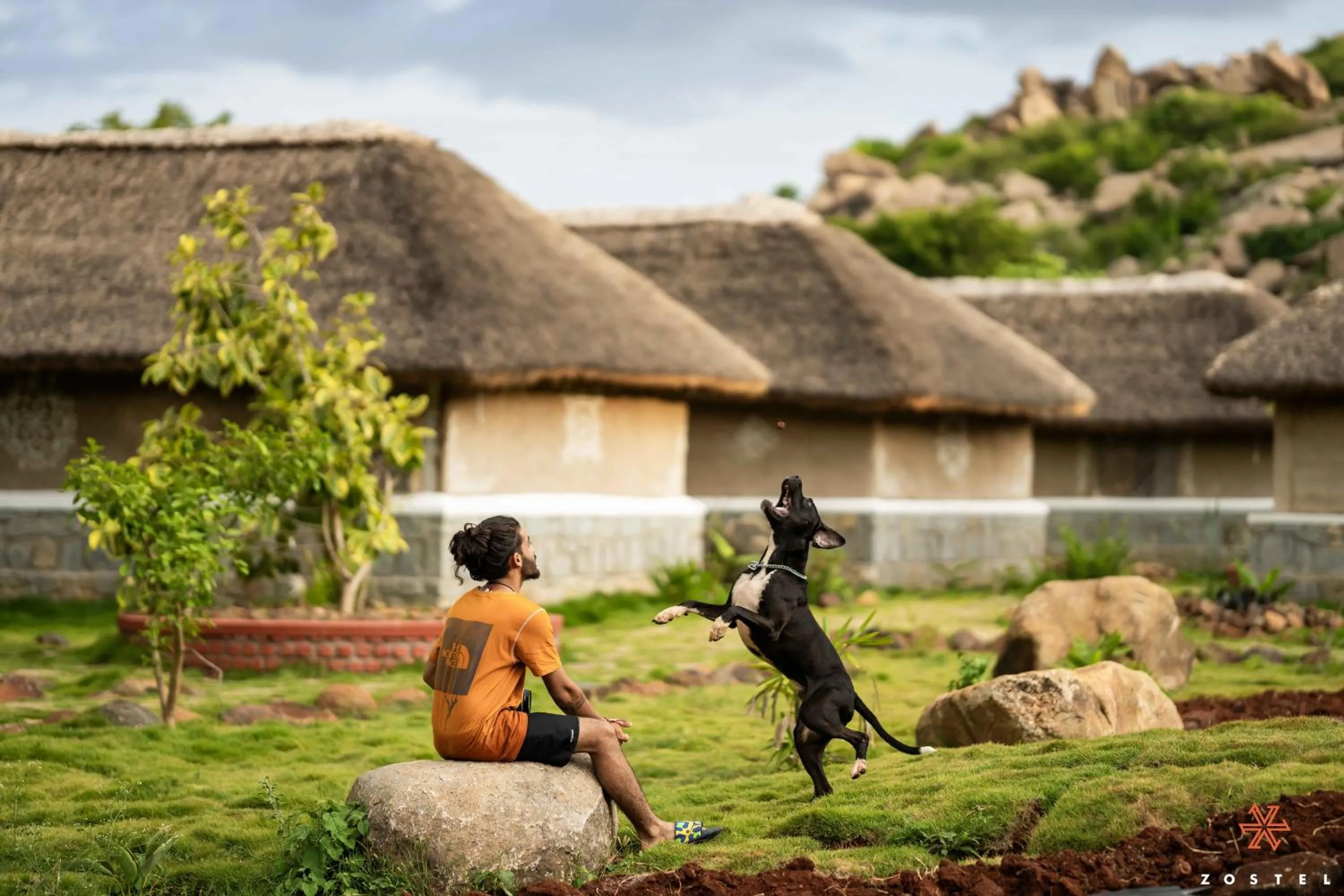 Garden in Zostel Hampi (Gangavathi)