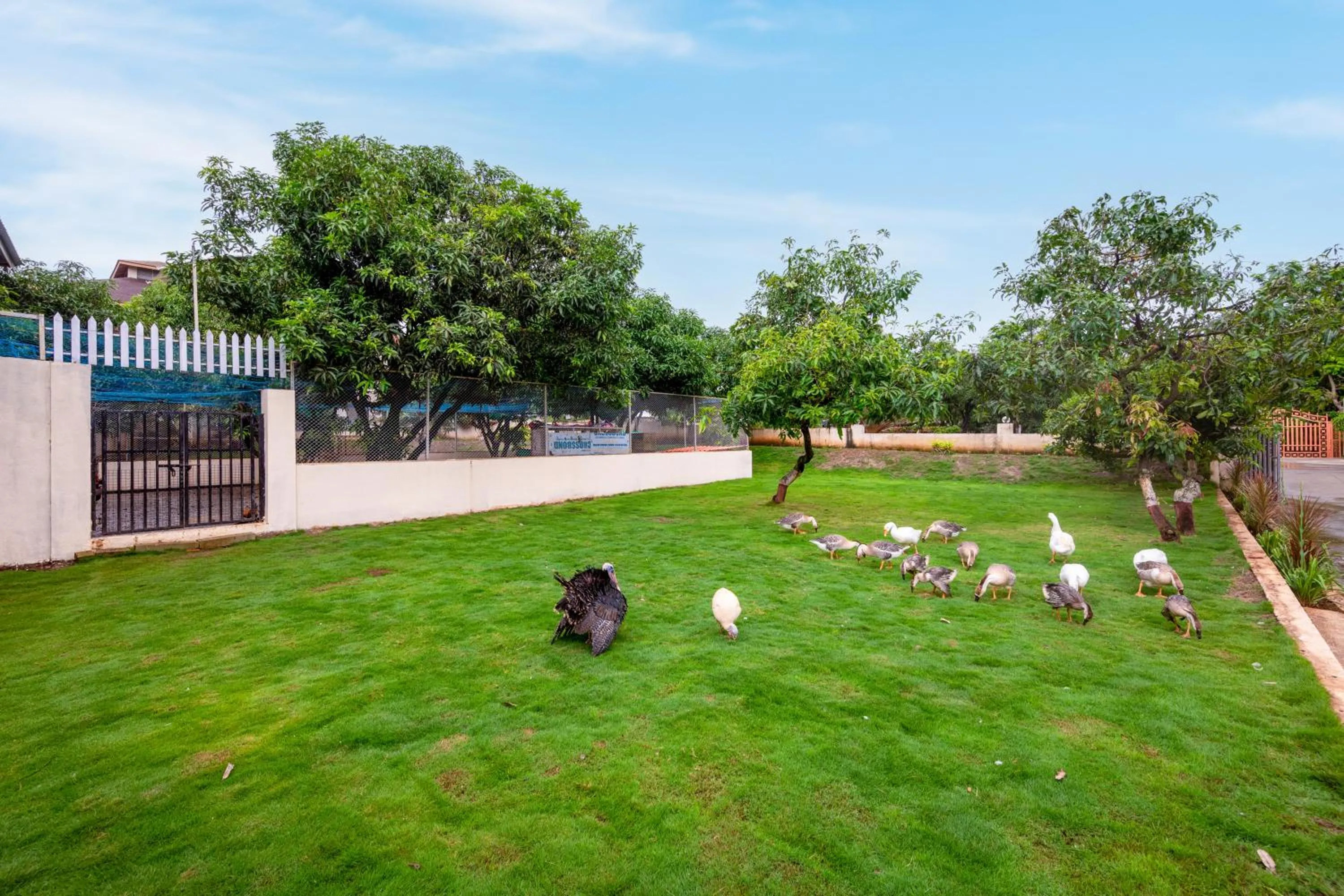 Freesia Resort by Express Inn