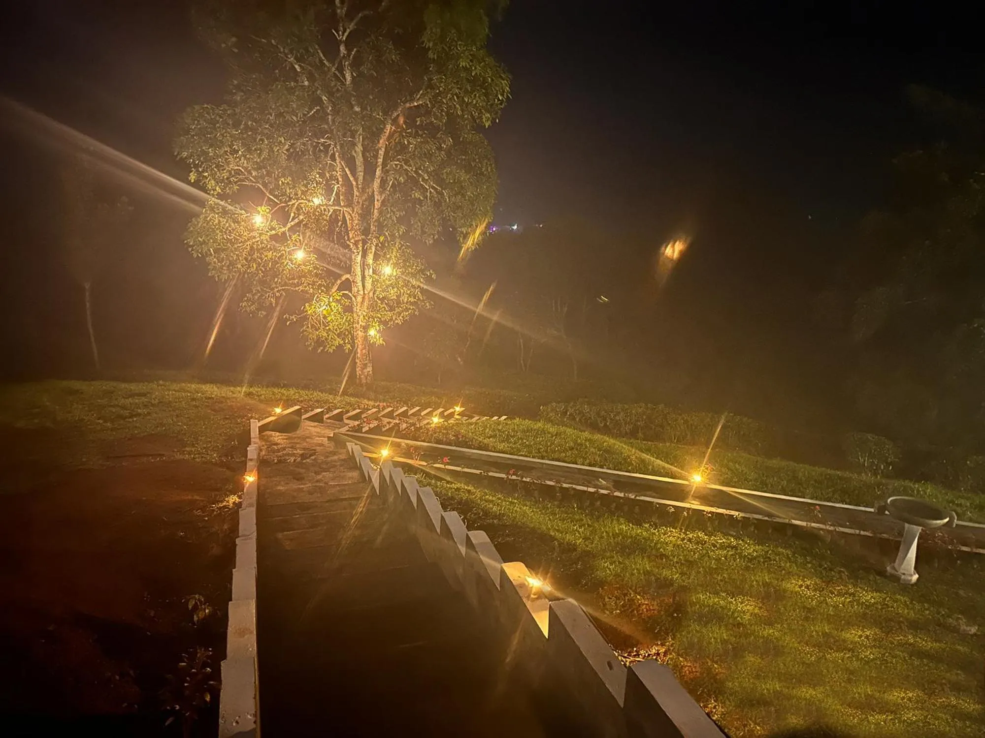 Night in Viceroy Luxury Mountain Resort and Spa