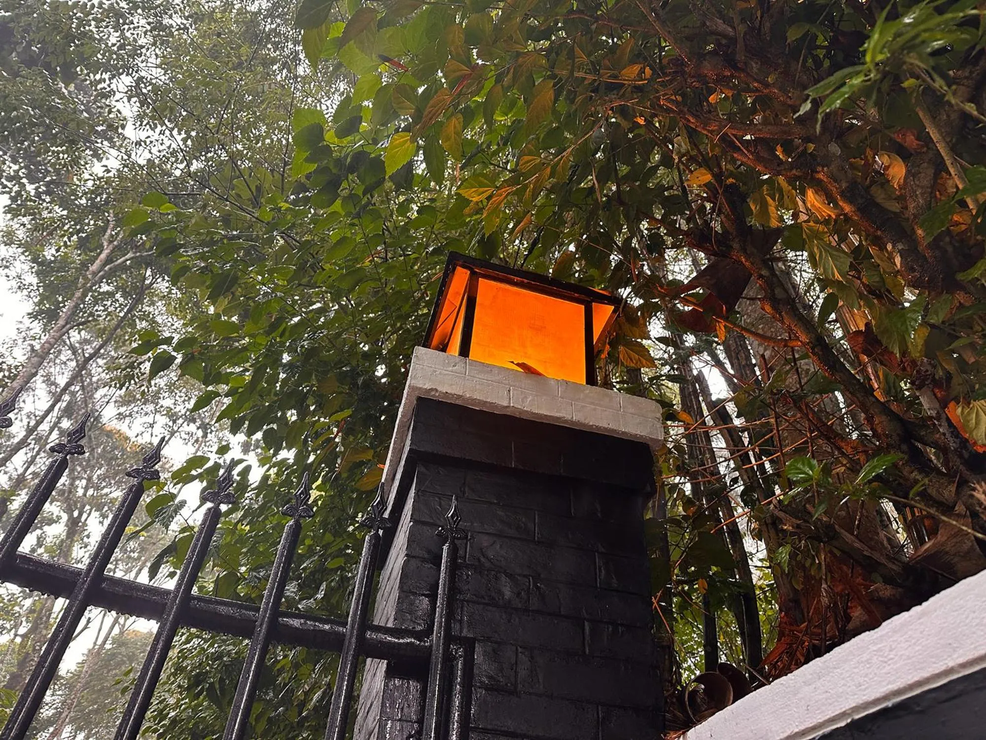 Natural landscape in Viceroy Luxury Mountain Resort and Spa