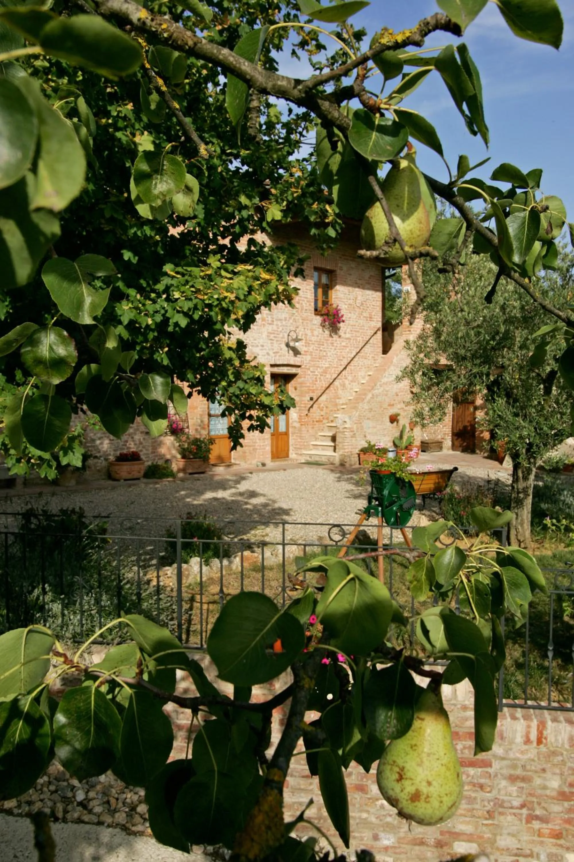 Facade/entrance in Podere Il Pero