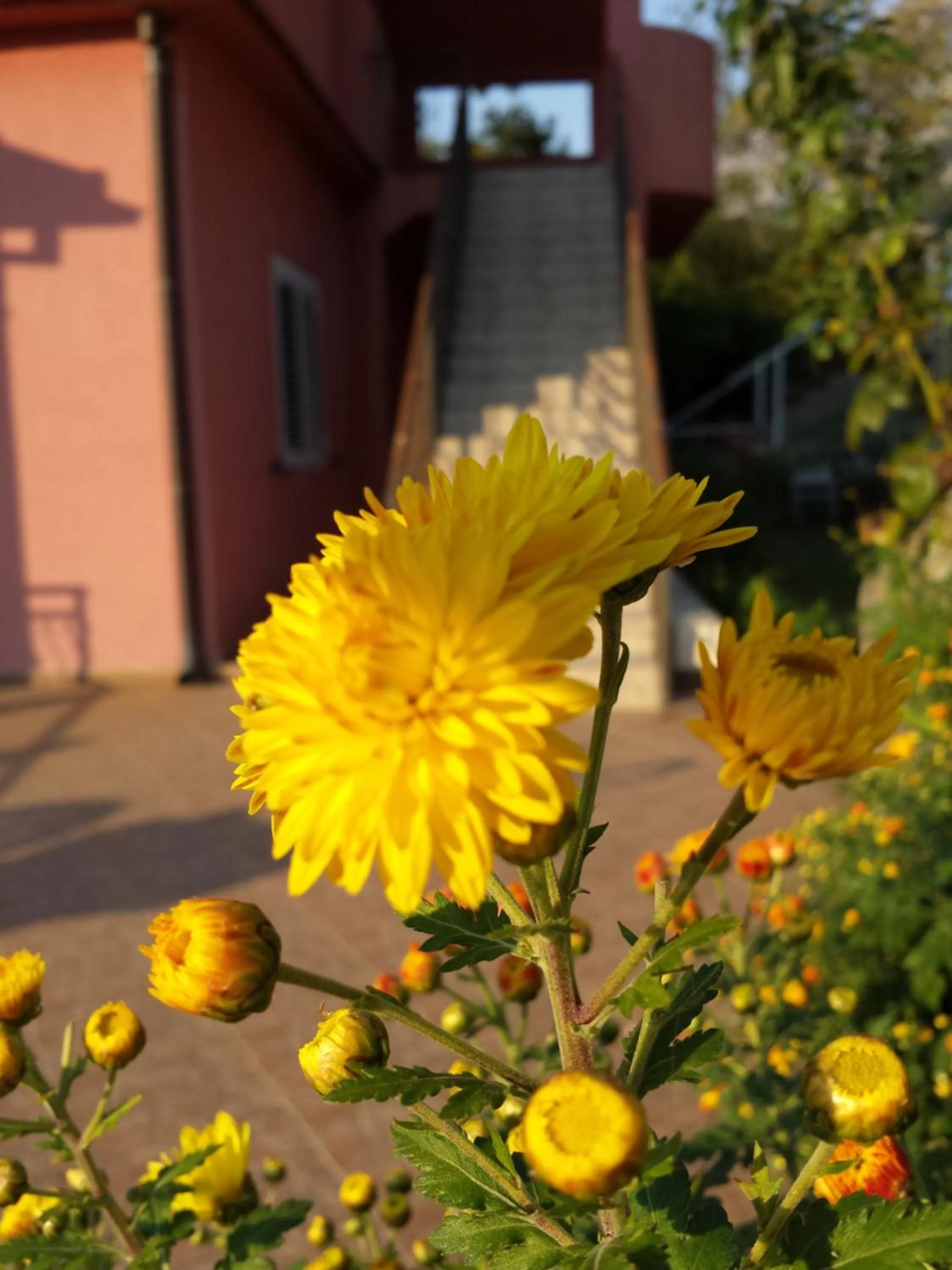 View (from property/room) in Apartments Lazarević
