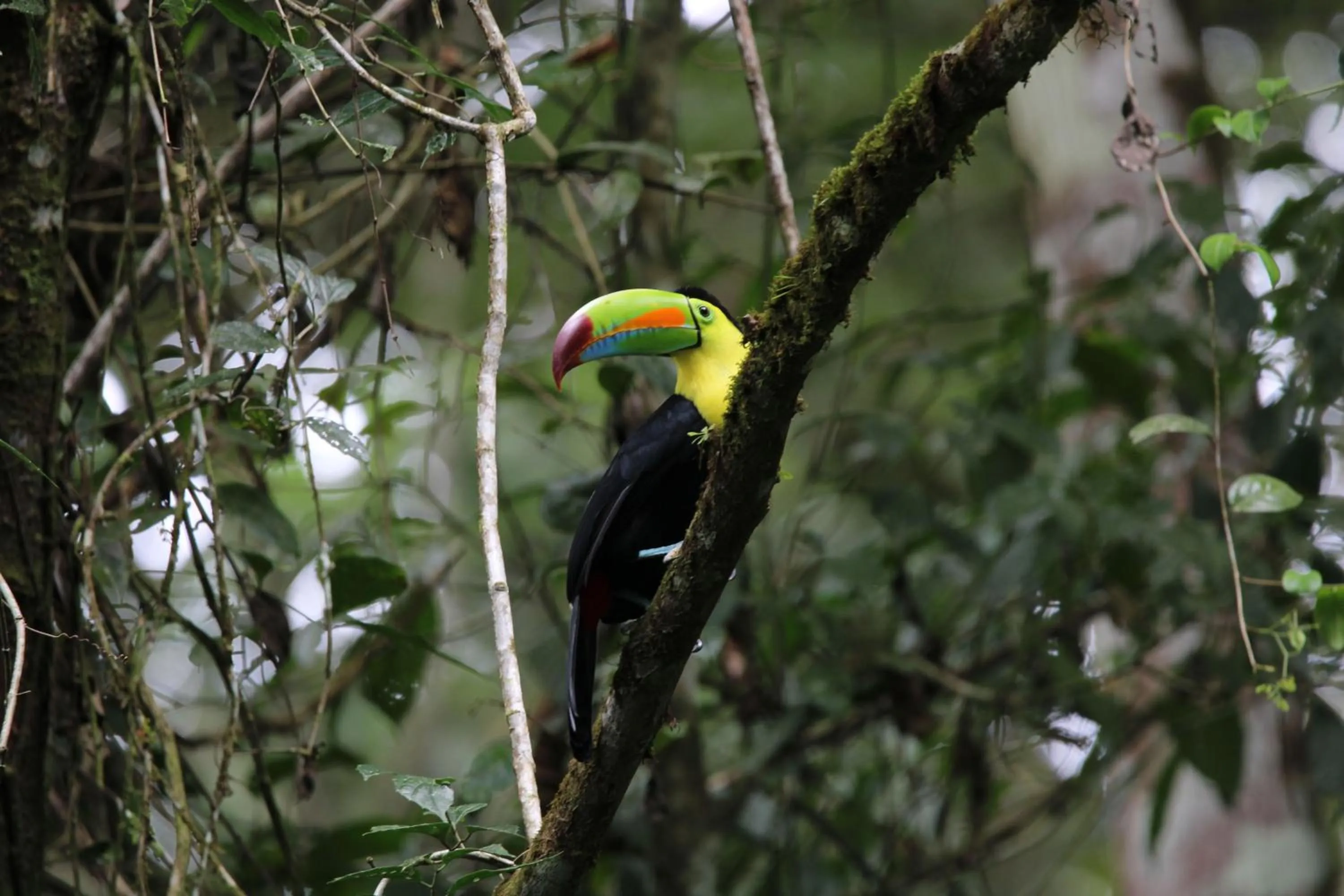 Natural landscape in Serenity Hotel & Villas