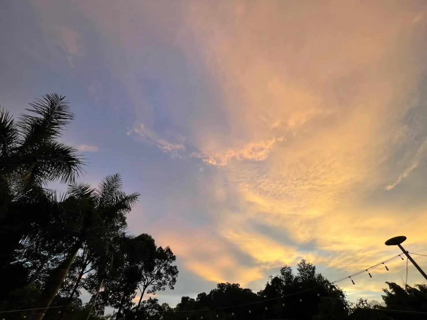 Natural landscape in Suptara Resort