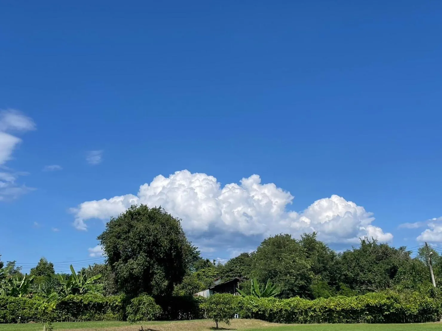 Garden view in Suptara Resort