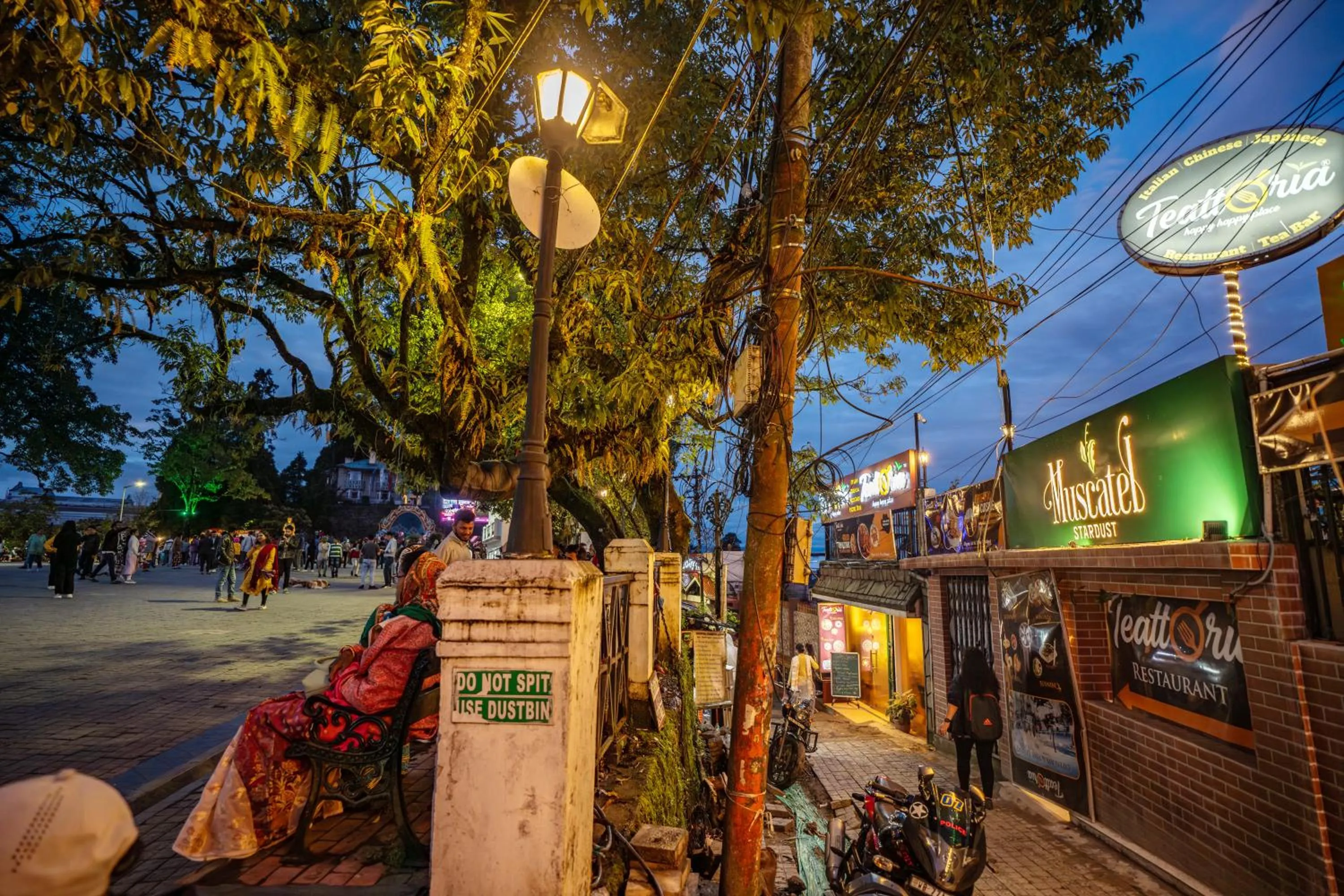 Property building in Muscatel Stardust - Chowrasta Mall Road