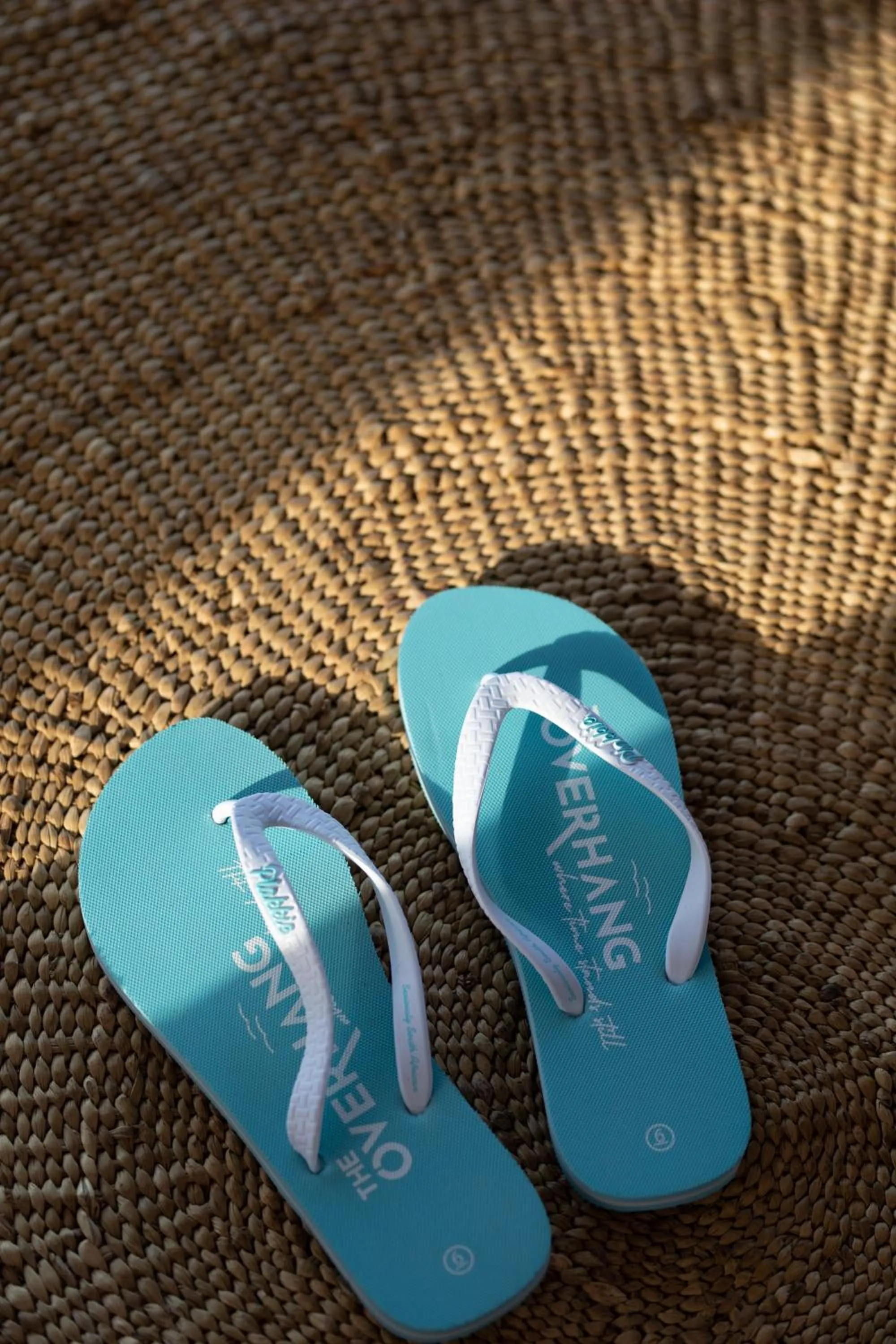 Other in The Overhang