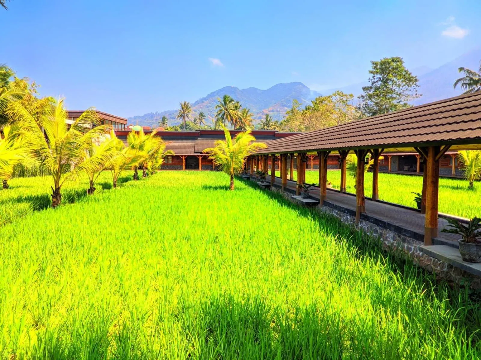 Garden in Villa Rancabango Hotel & Resort Garut