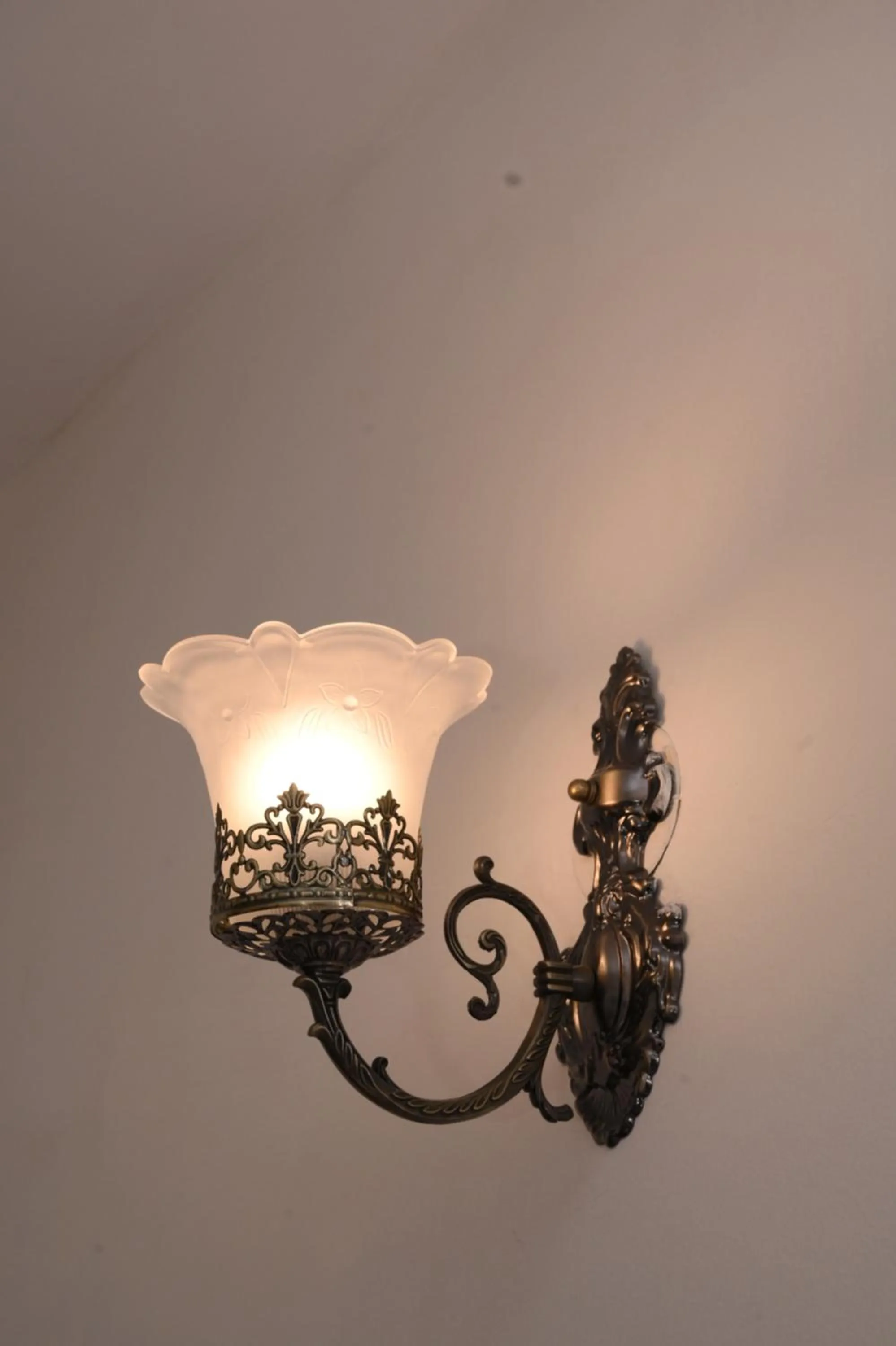 View (from property/room) in PATIALA INN