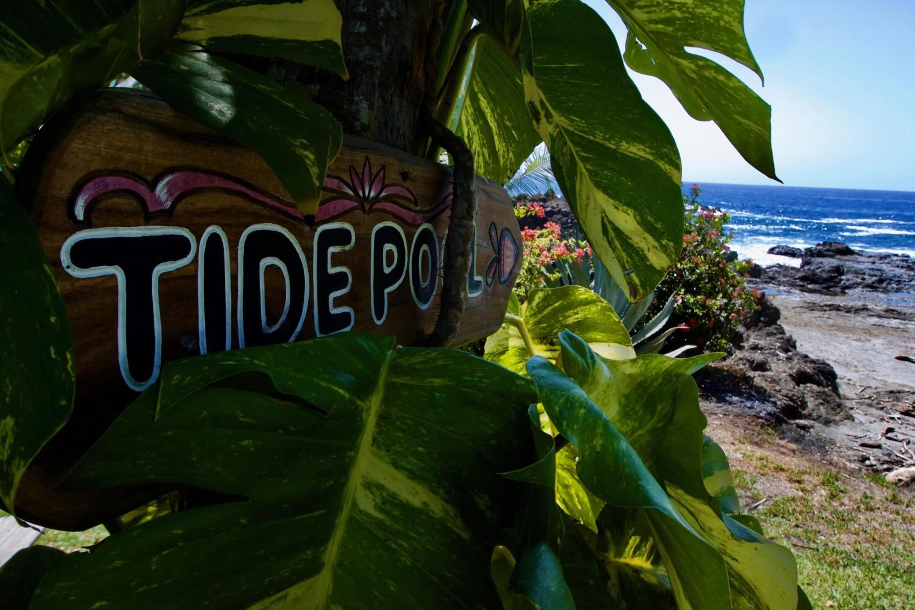 On site in Hotel Amor de Mar