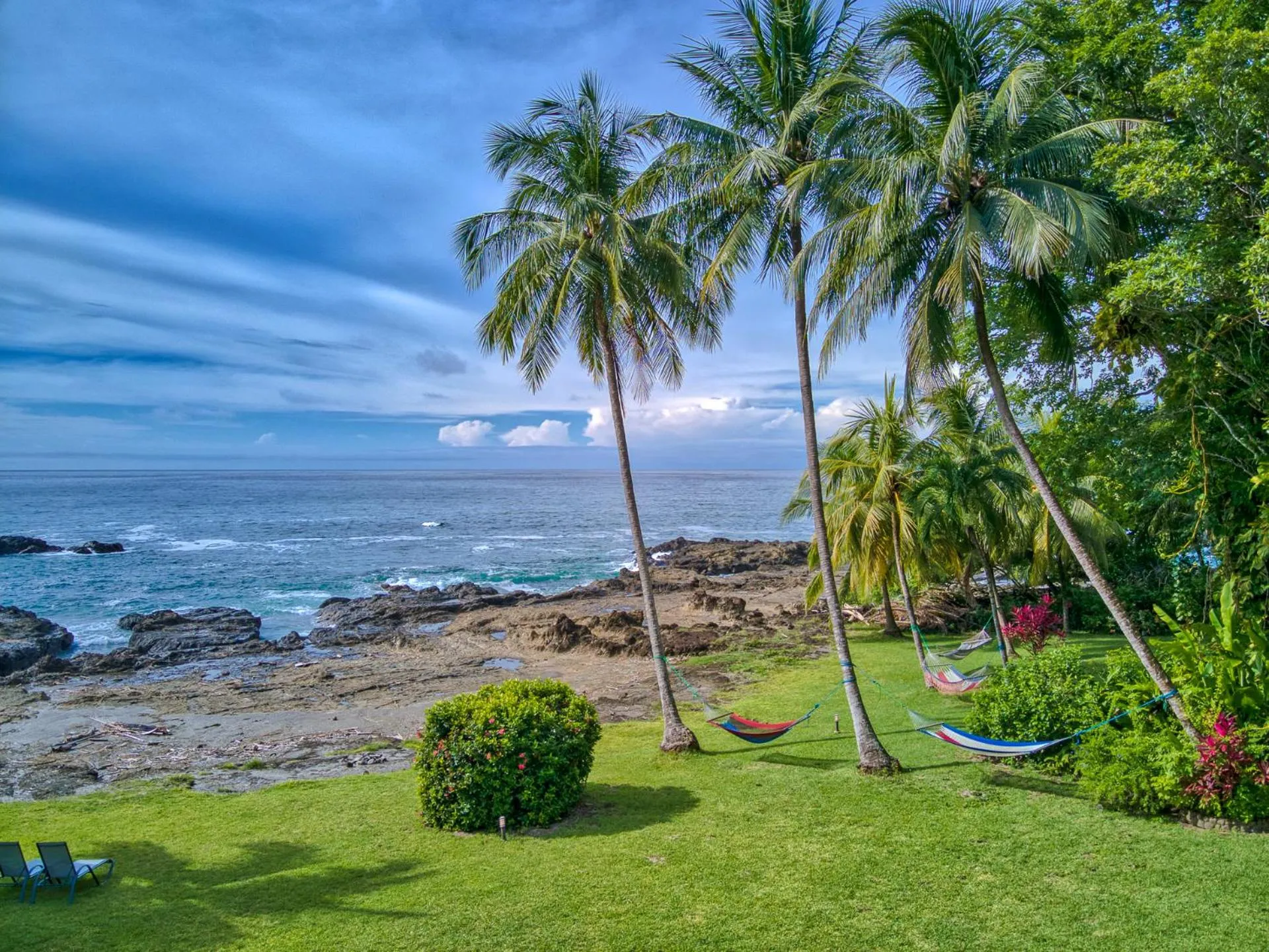 Garden in Hotel Amor de Mar