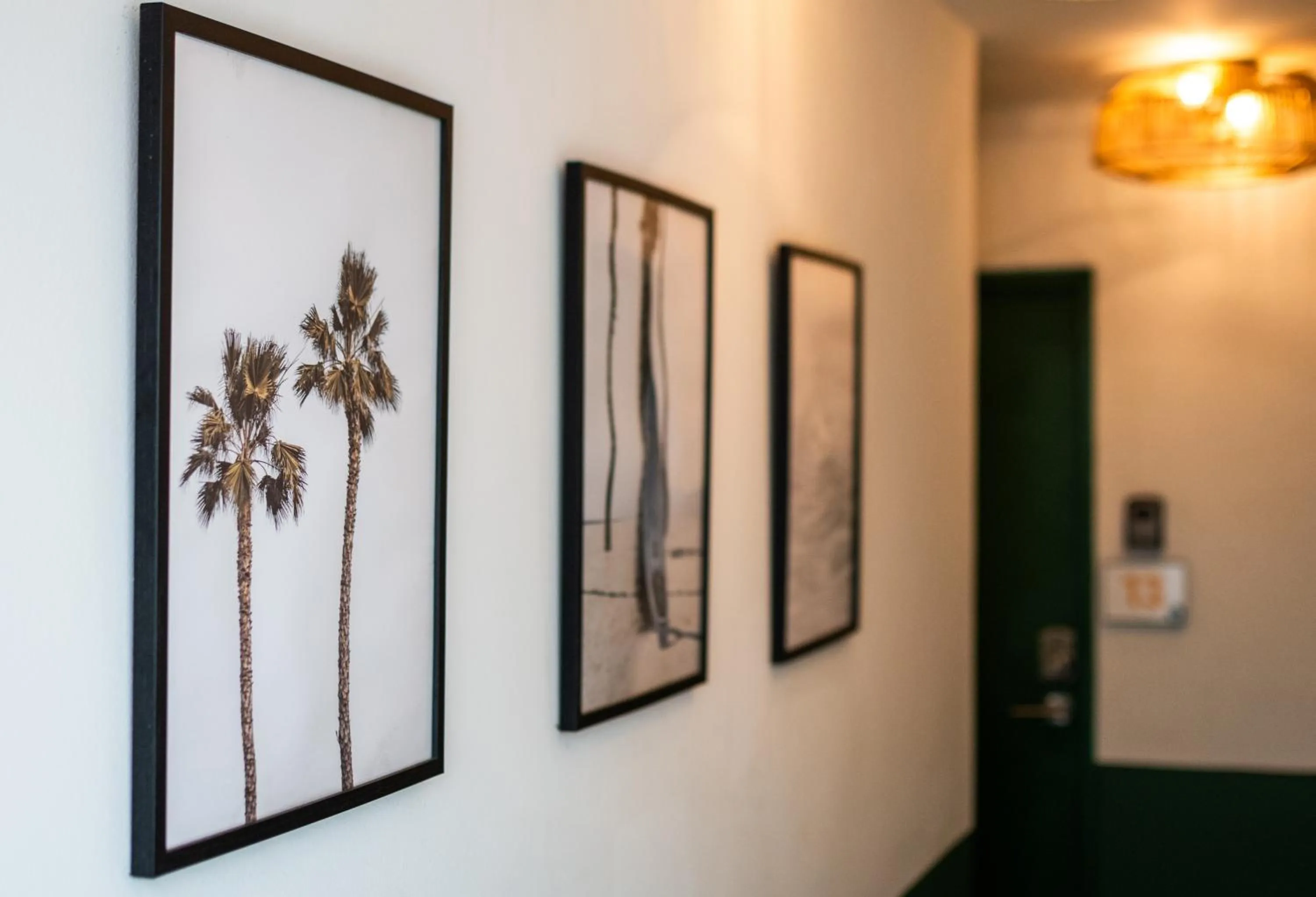 Decorative detail in La Mona Loiza Apartment Complex by Stay with Bear