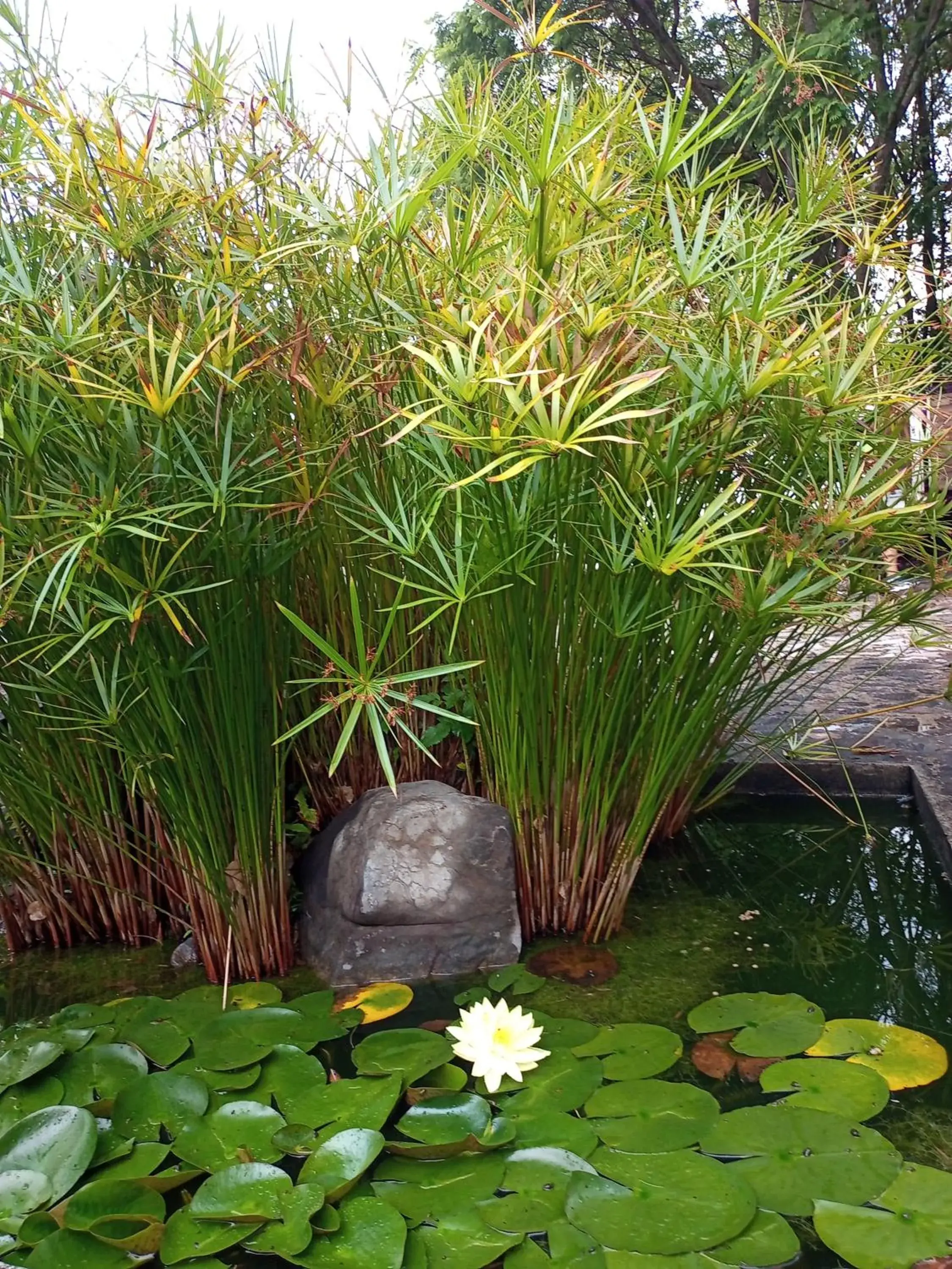 Posada Tia Miny Posada Tia Miny