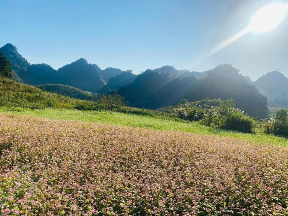 Happy House Moc Chau