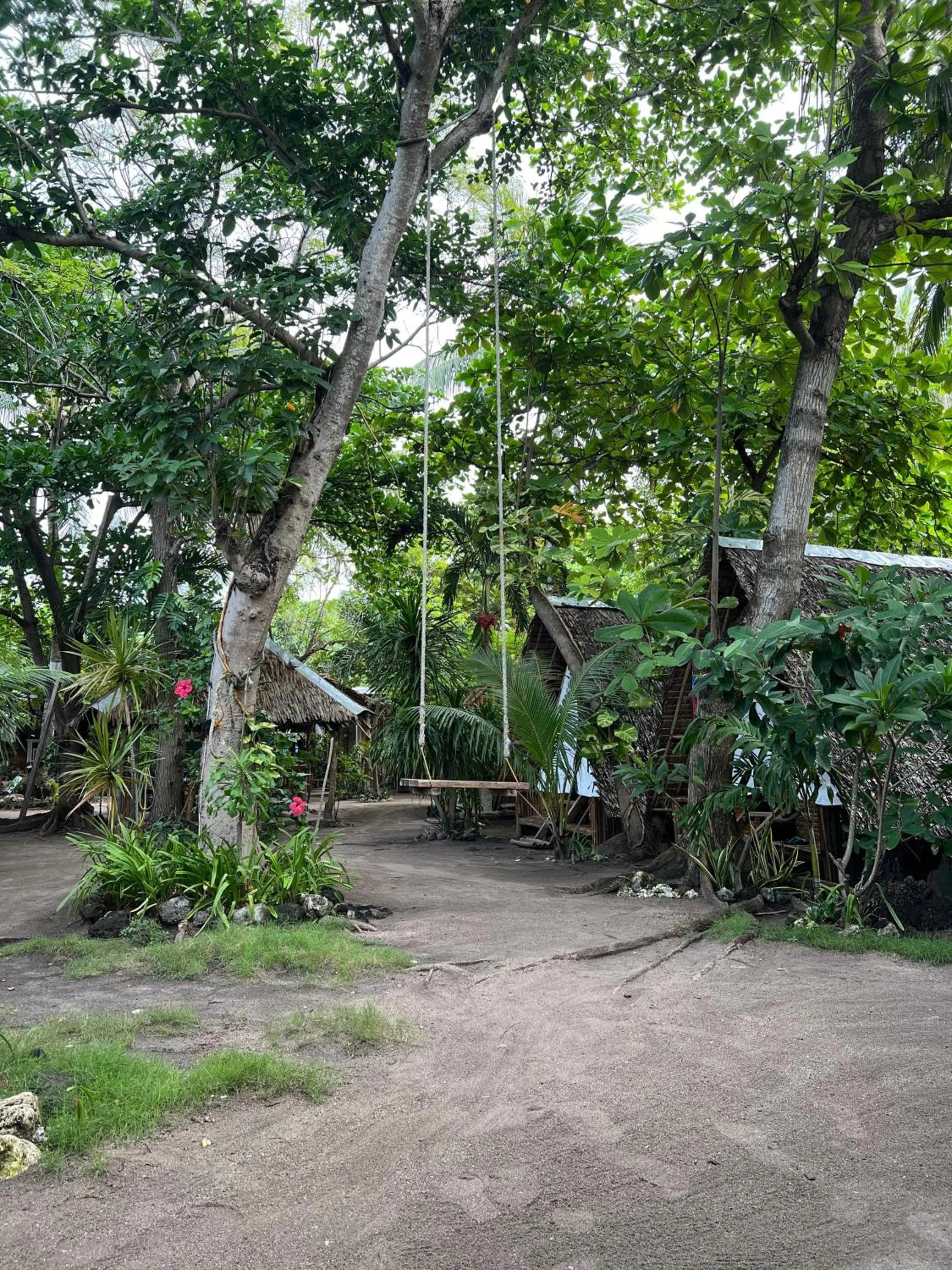 Georgia's Neverland Hostel