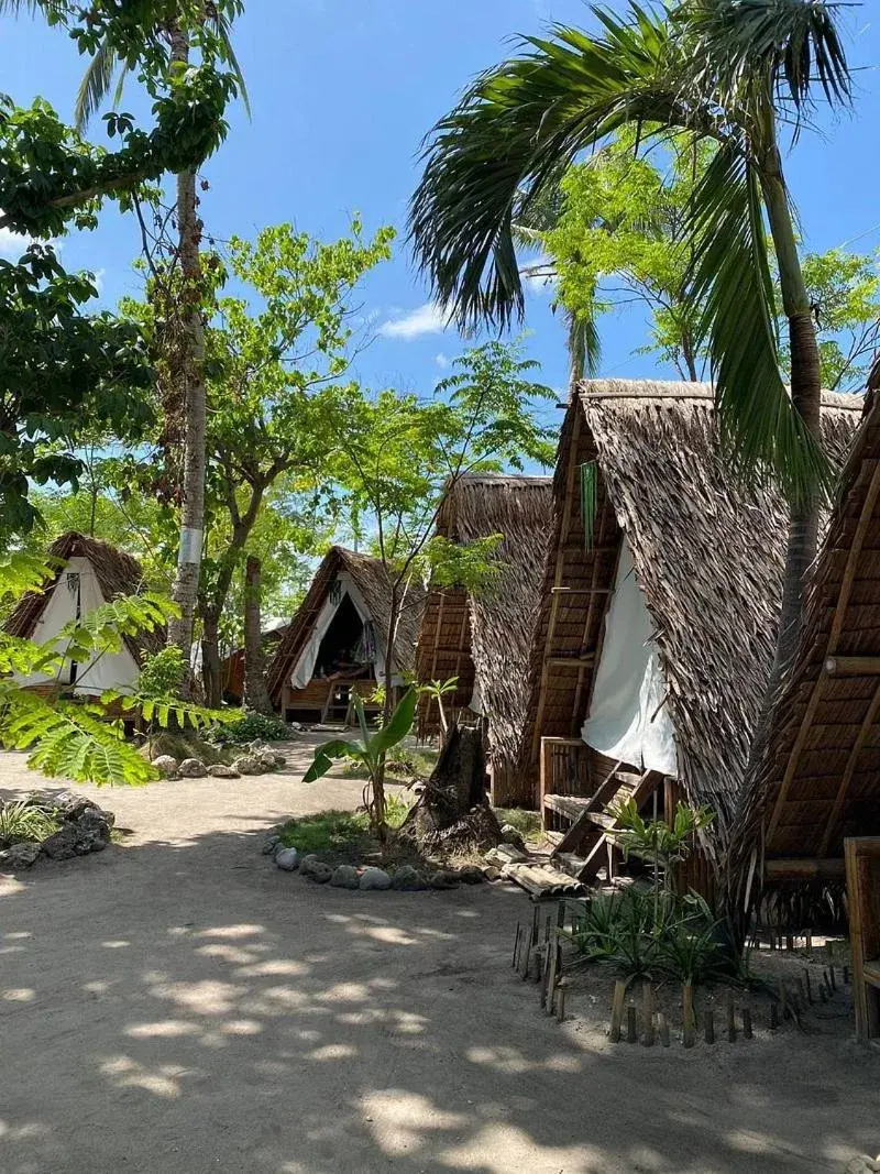 Georgia's Neverland Hostel Georgia's Neverland Hostel