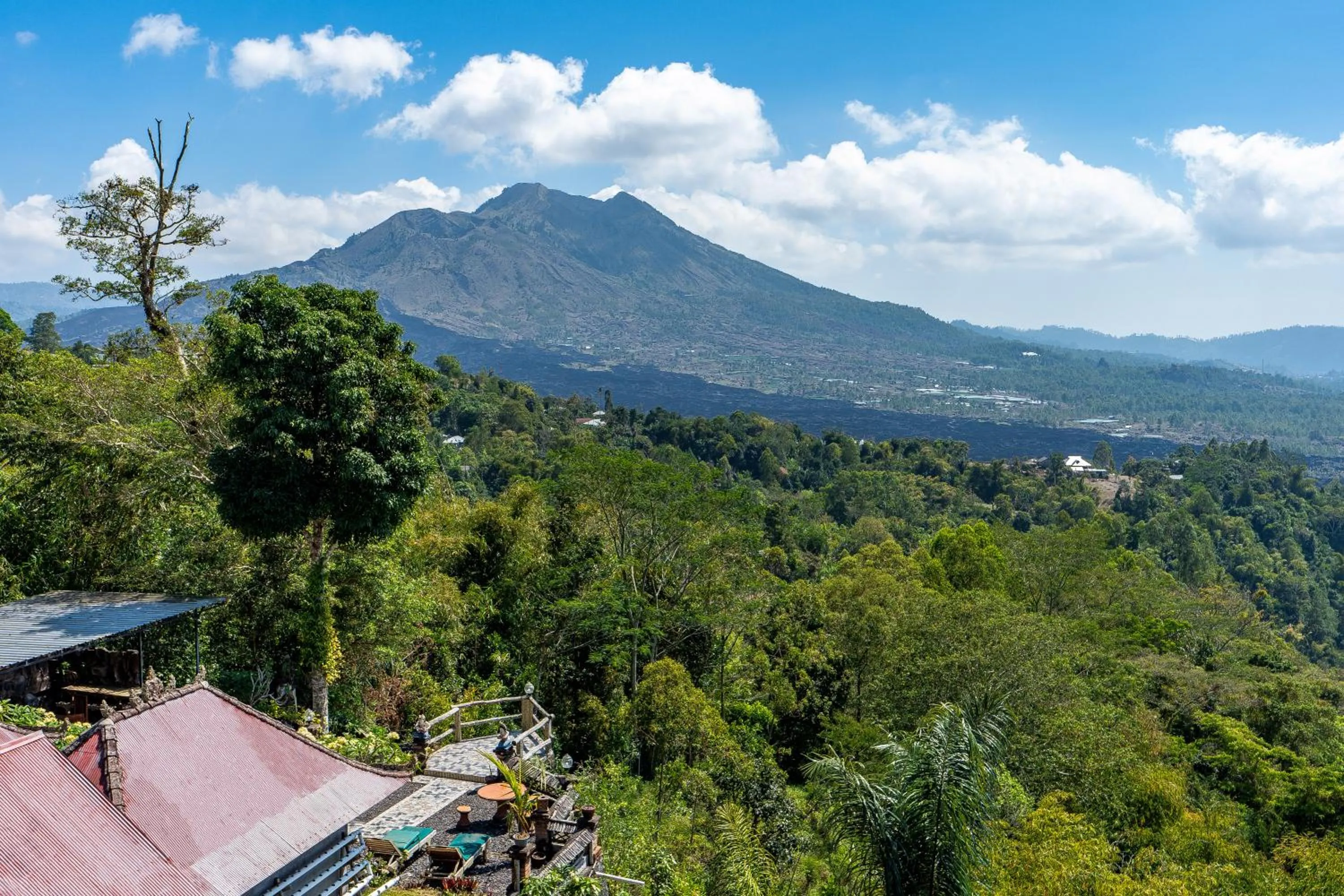 View (from property/room) in Tiing Bali Guest House Kintamani