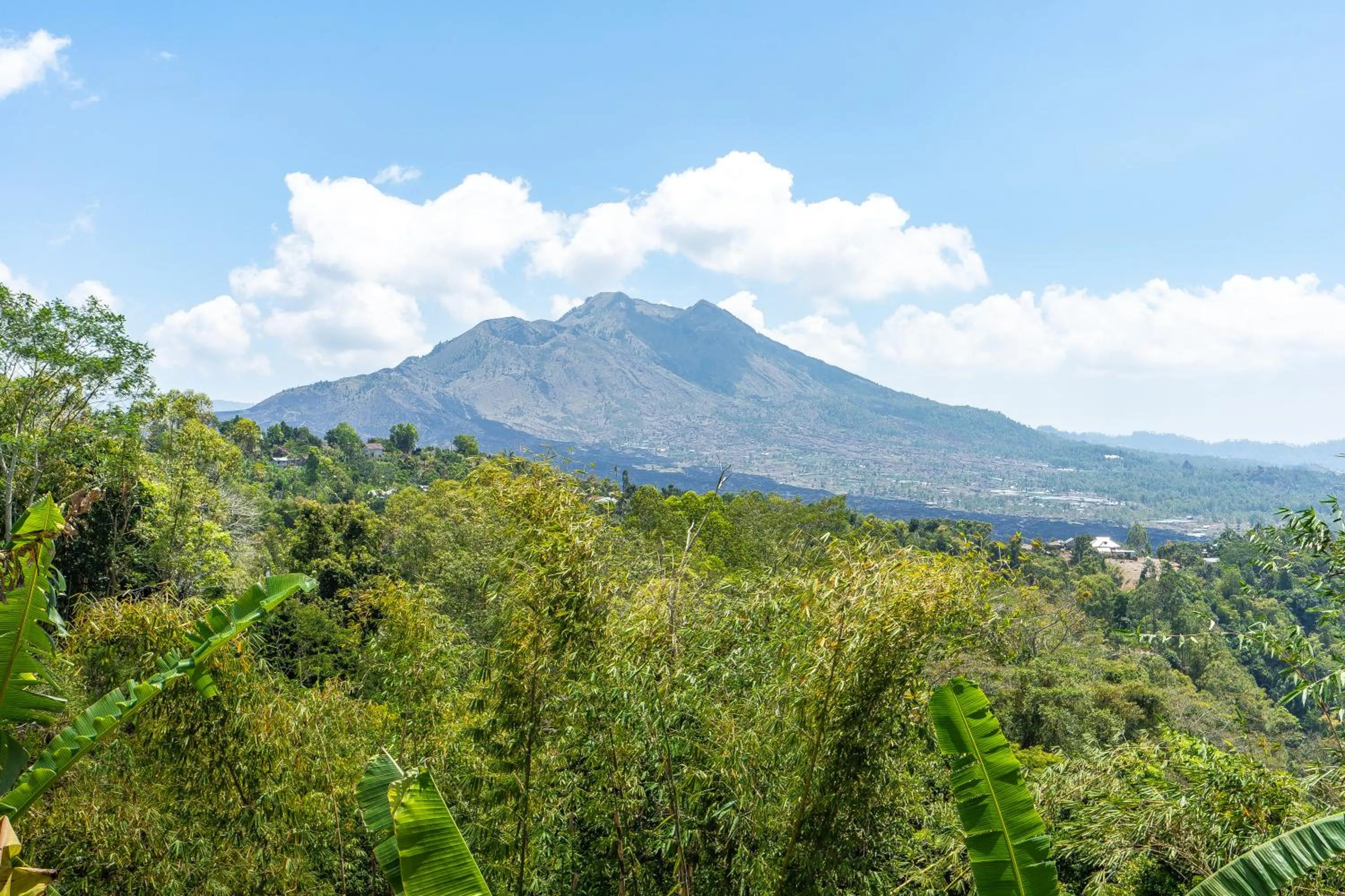 View (from property/room) in Tiing Bali Guest House Kintamani