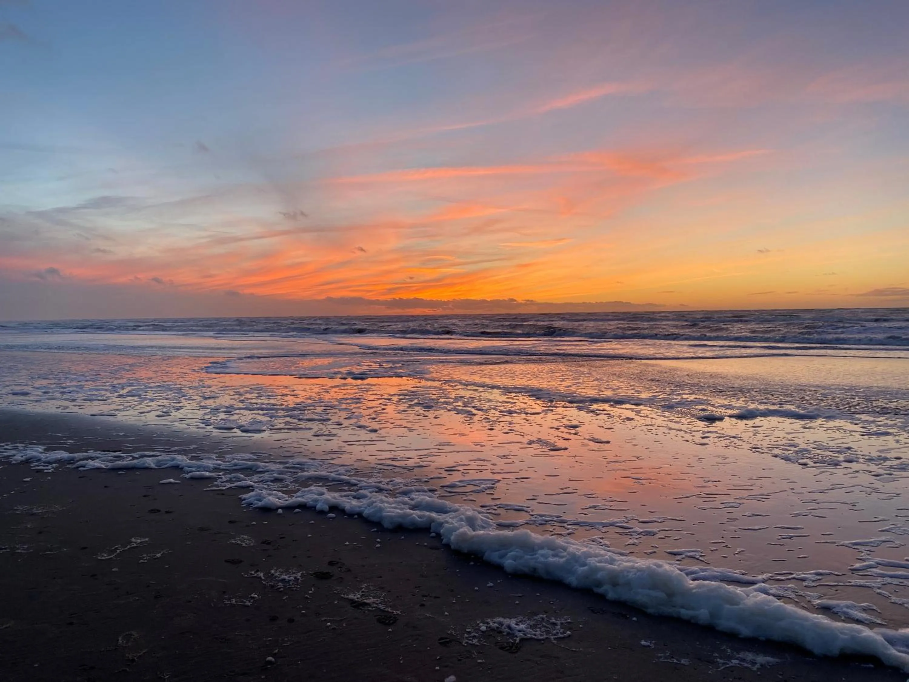 Beach in Palace Hotel Zandvoort