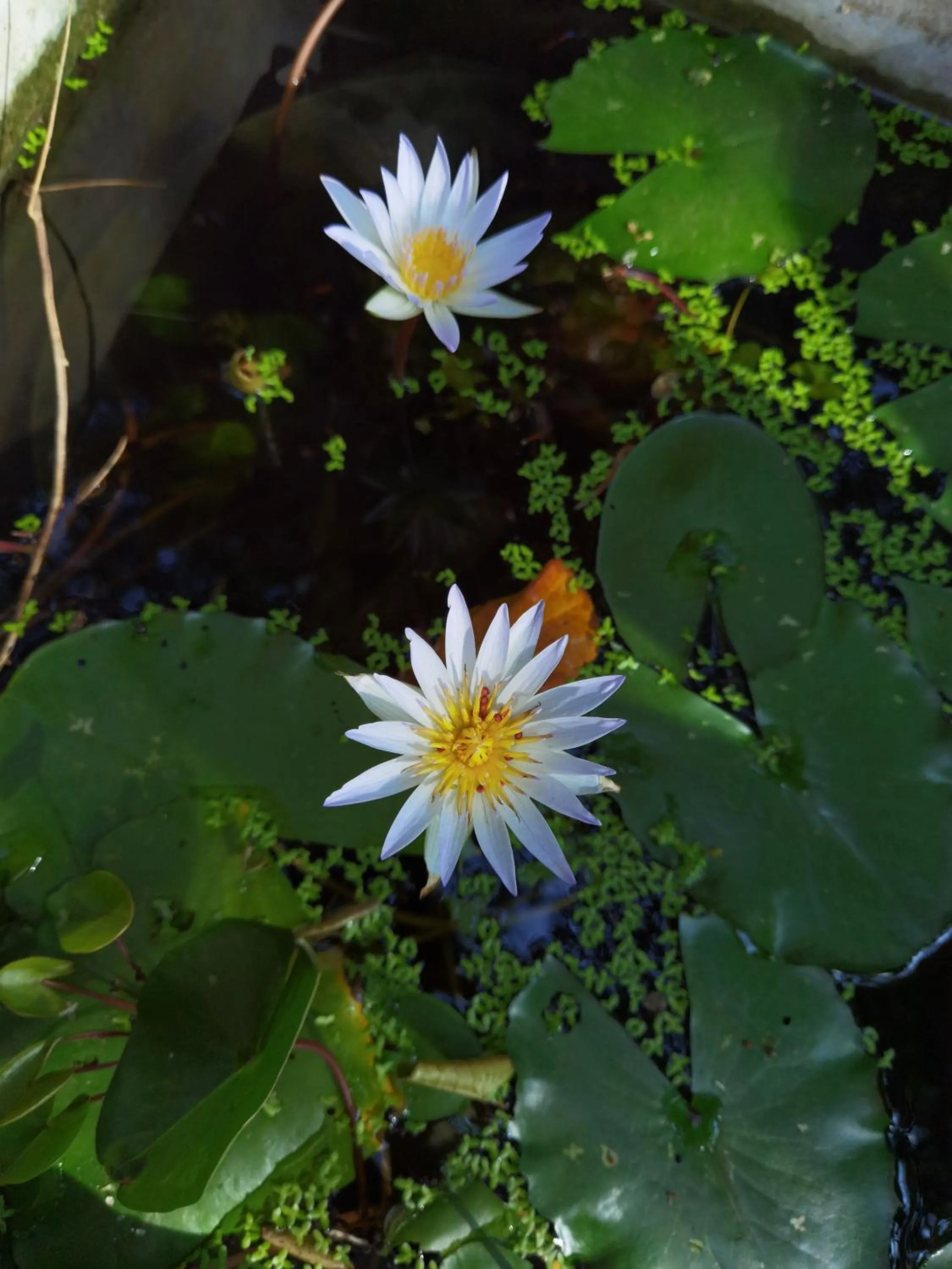 SANTA MARIA HOSTEL MUNROE ISLAND