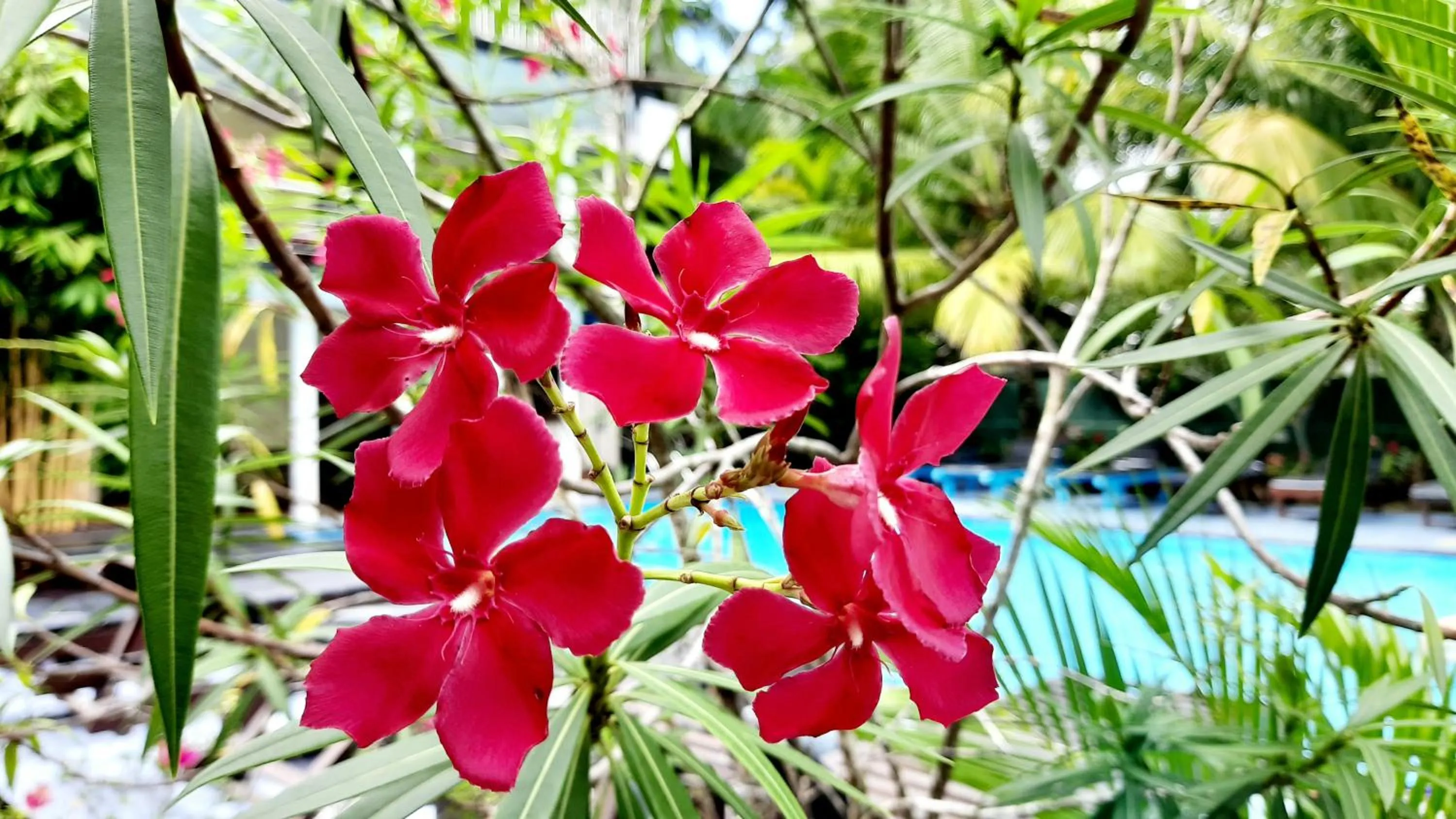 Patio in The Lodge Unawatuna