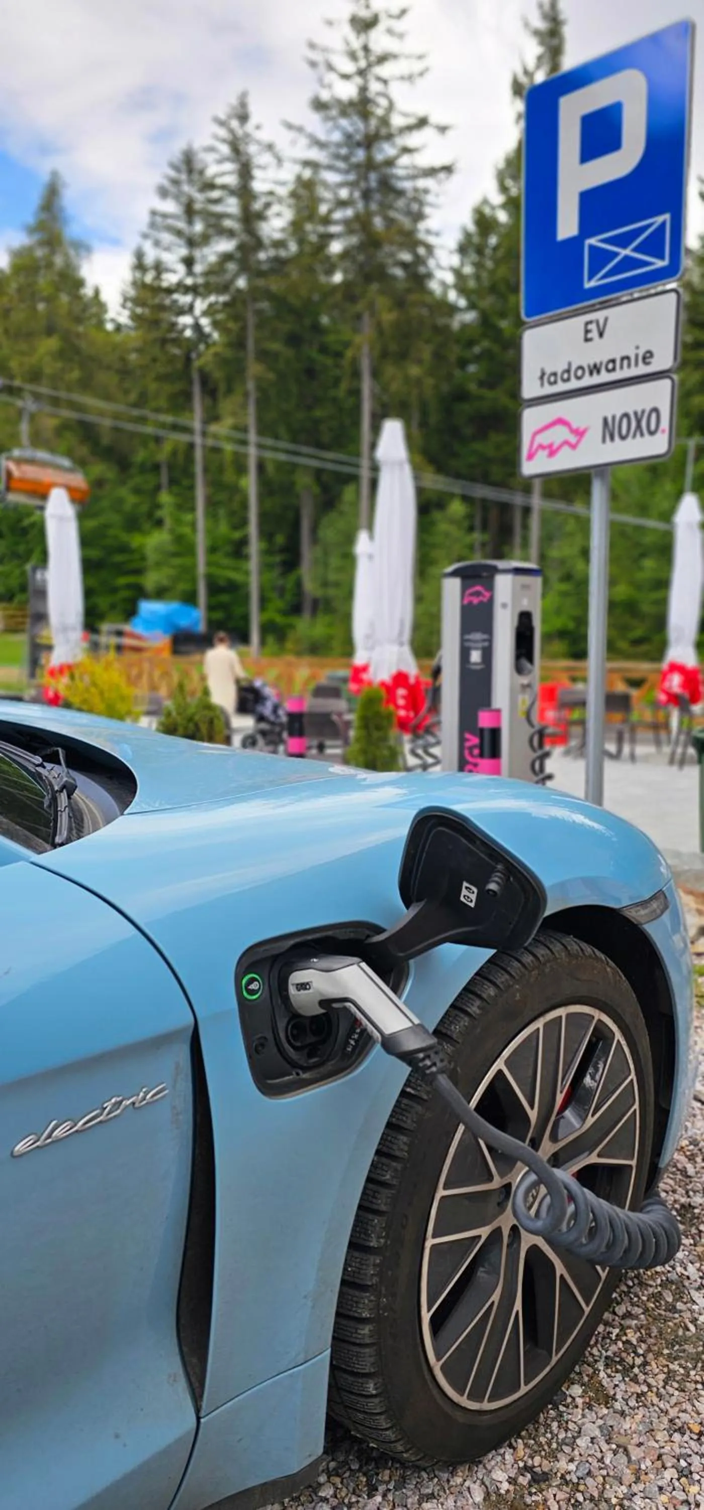 Safir przy samym WYCIĄGU