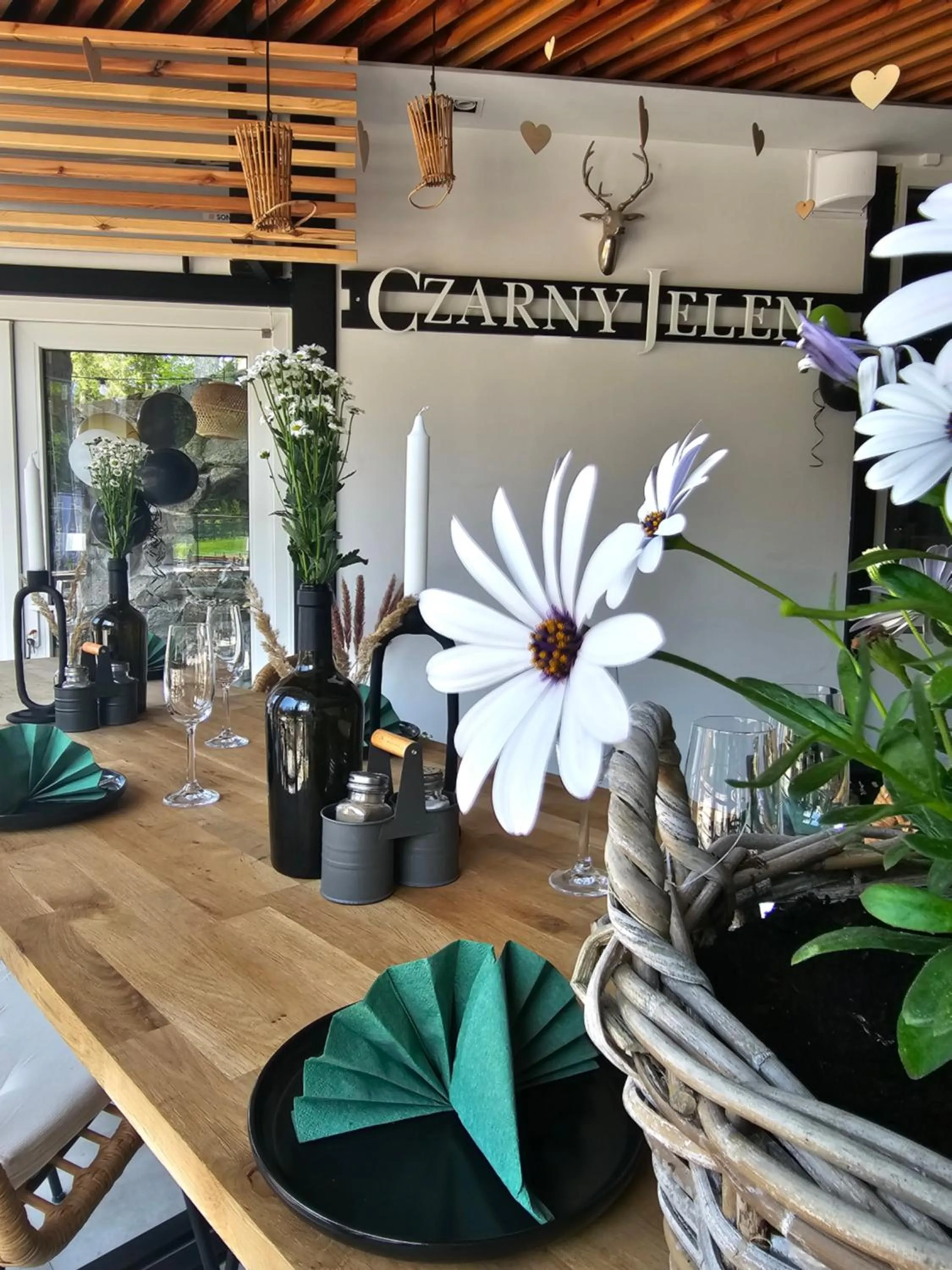 Safir przy samym WYCIĄGU