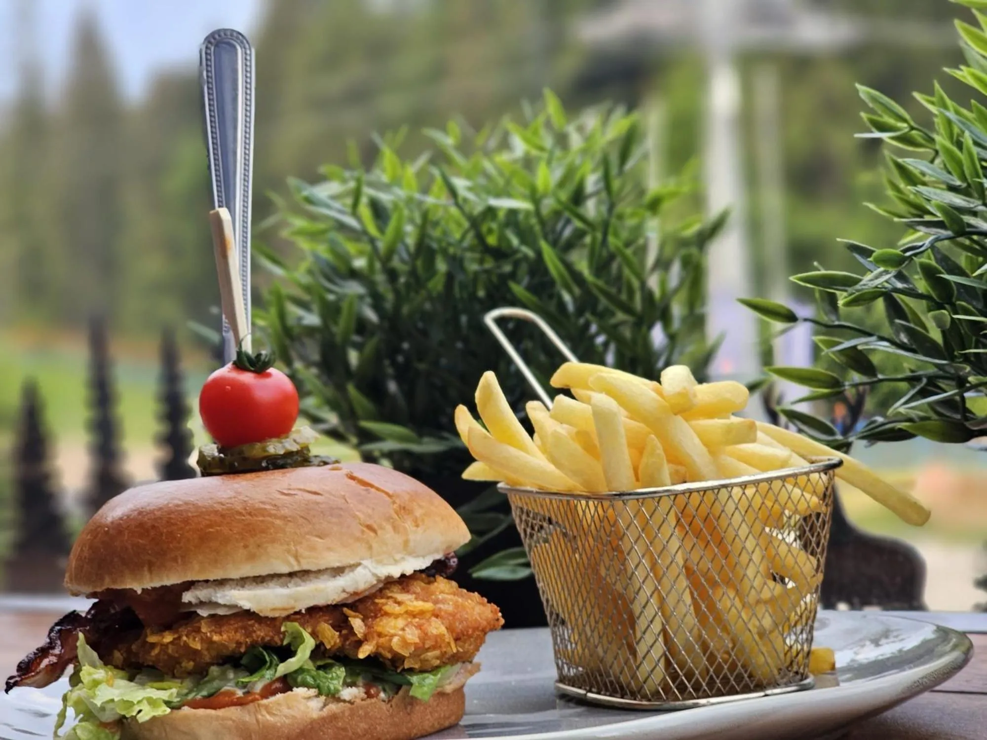 Safir przy samym WYCIĄGU