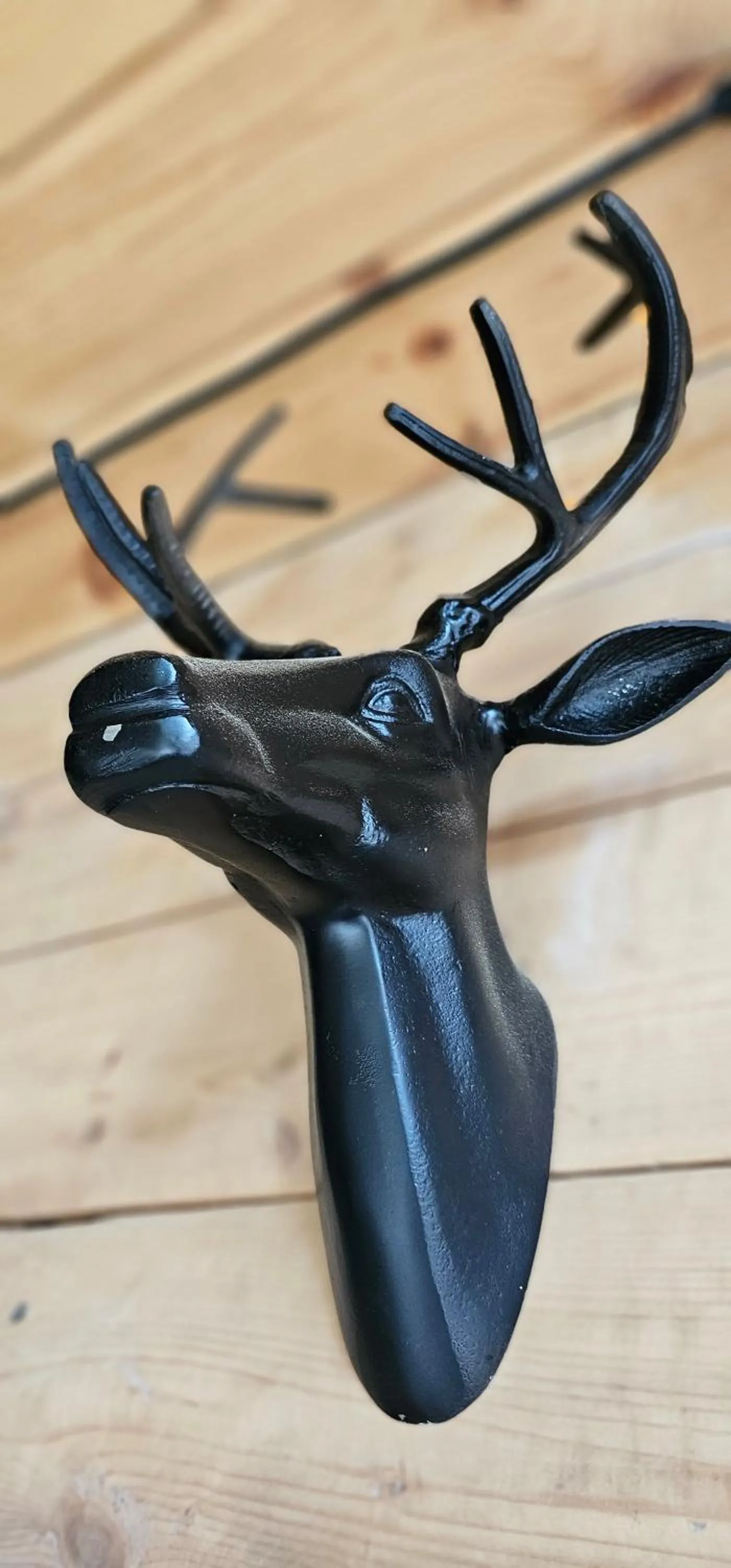 Safir przy samym WYCIĄGU