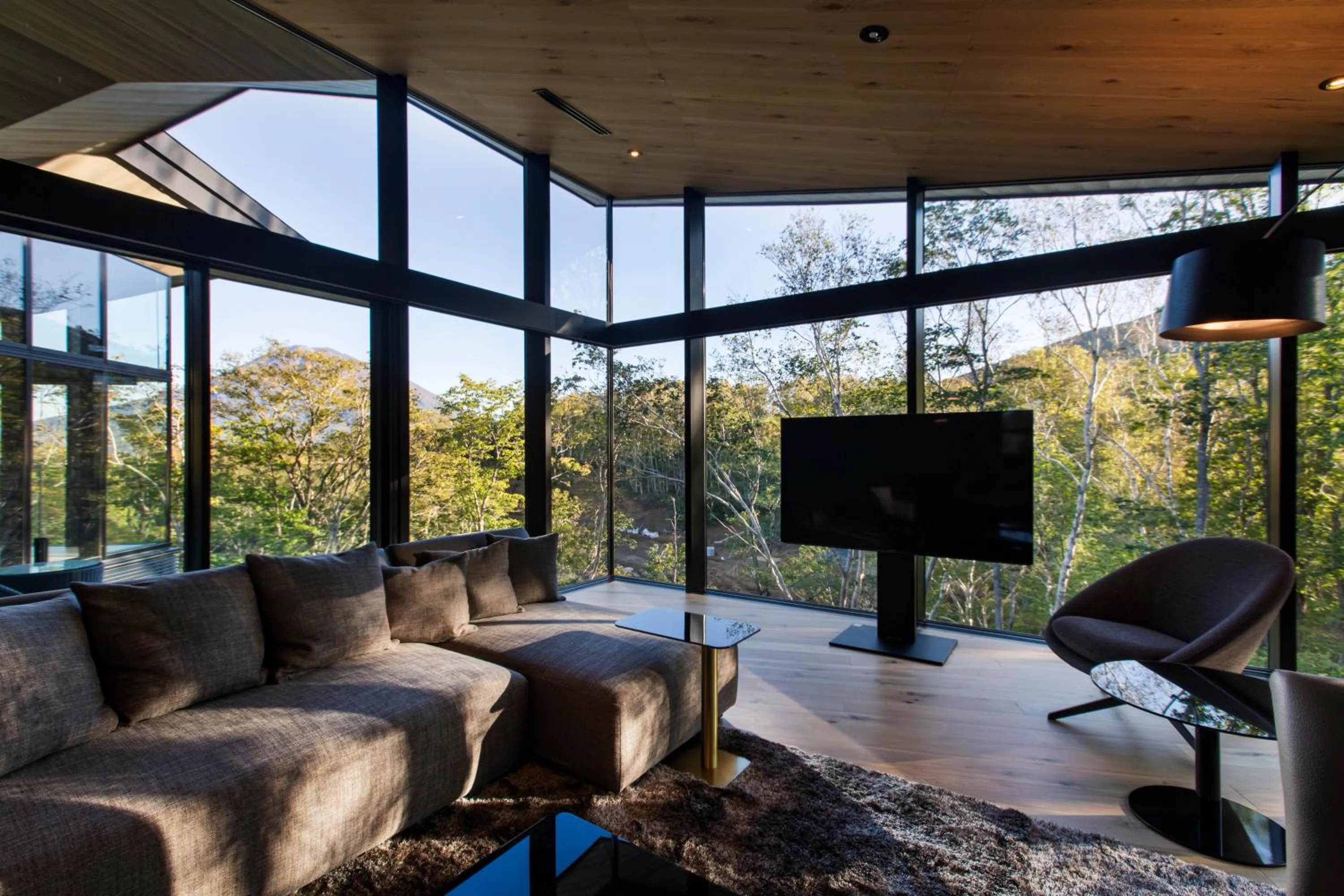 TV and multimedia in Tsubasa Chalet at Hanaridge